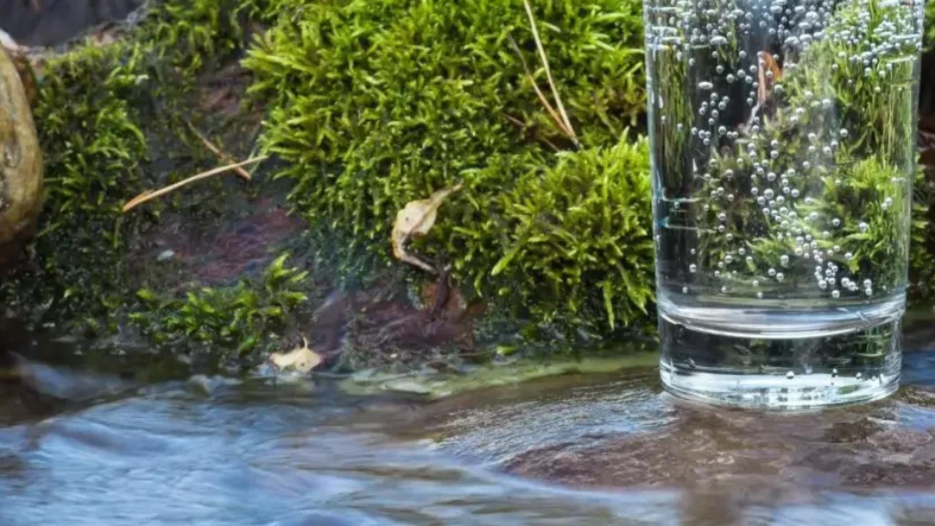 Ce fel de apă bem – 2 diferențe între apa de izvor, apa de masă, apa minerală plată și cea de la robinet