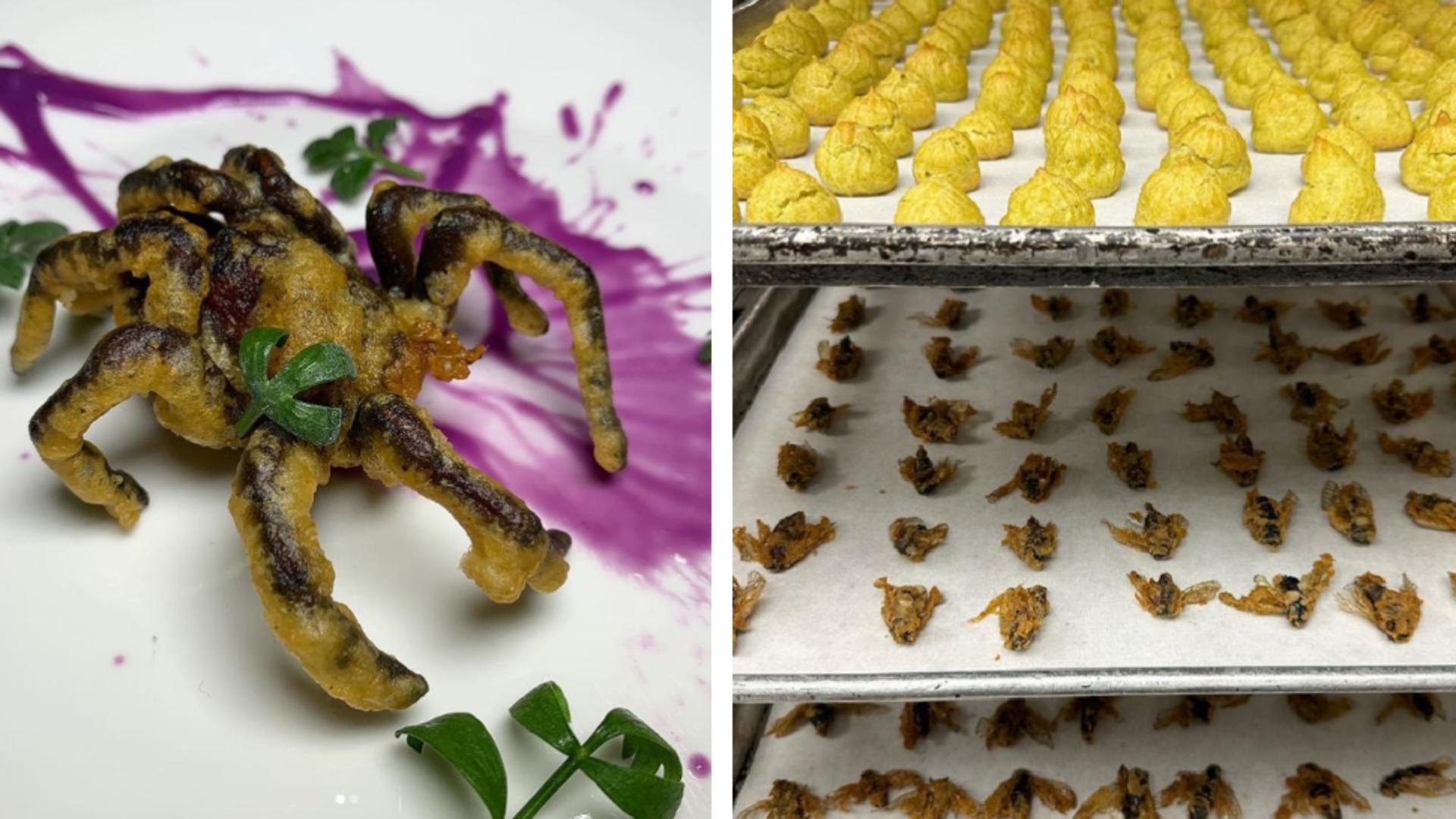 De ce un meniu cu insecte le-ar provoca indigestii romnânilor 