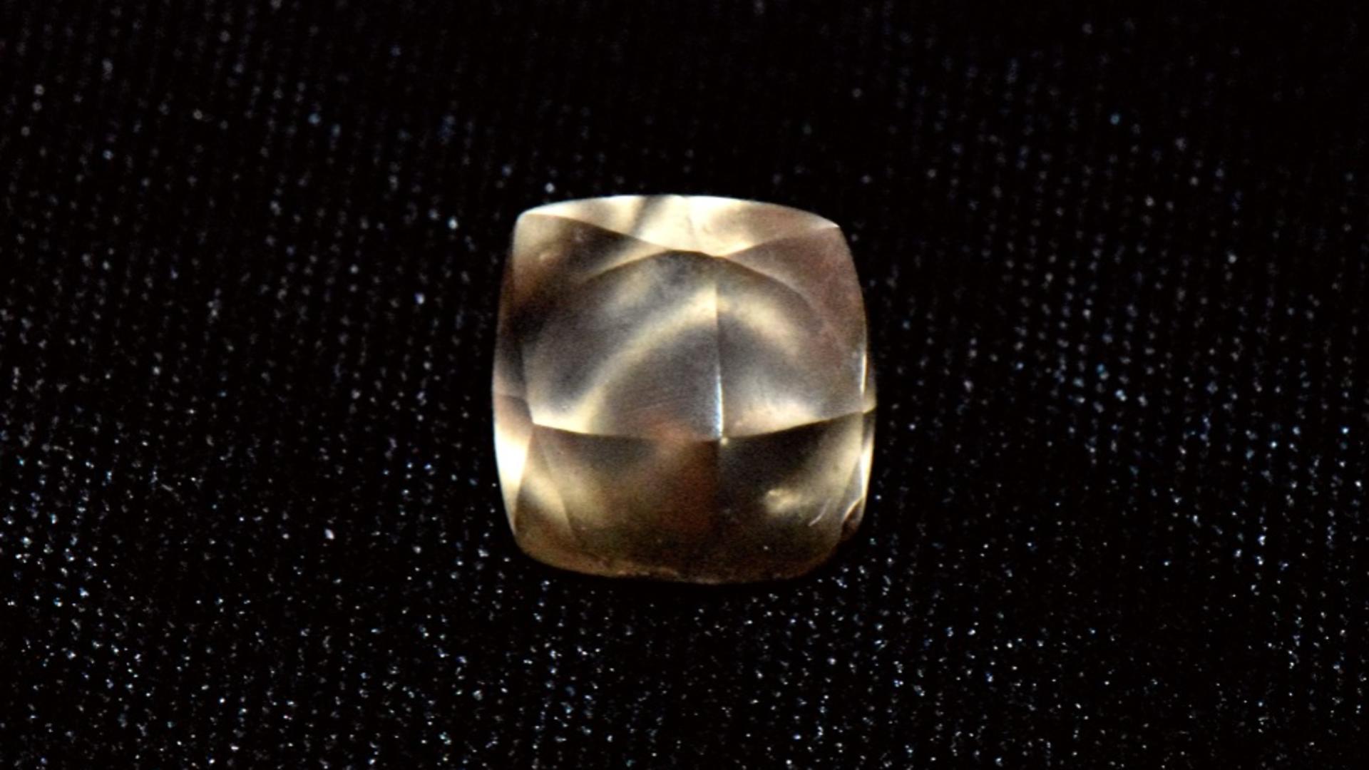 Un diamant de 2,95 carate, găsit de o fetiță într-un parc din SUA, în timpul unei excursii. Descoperire uimitoare