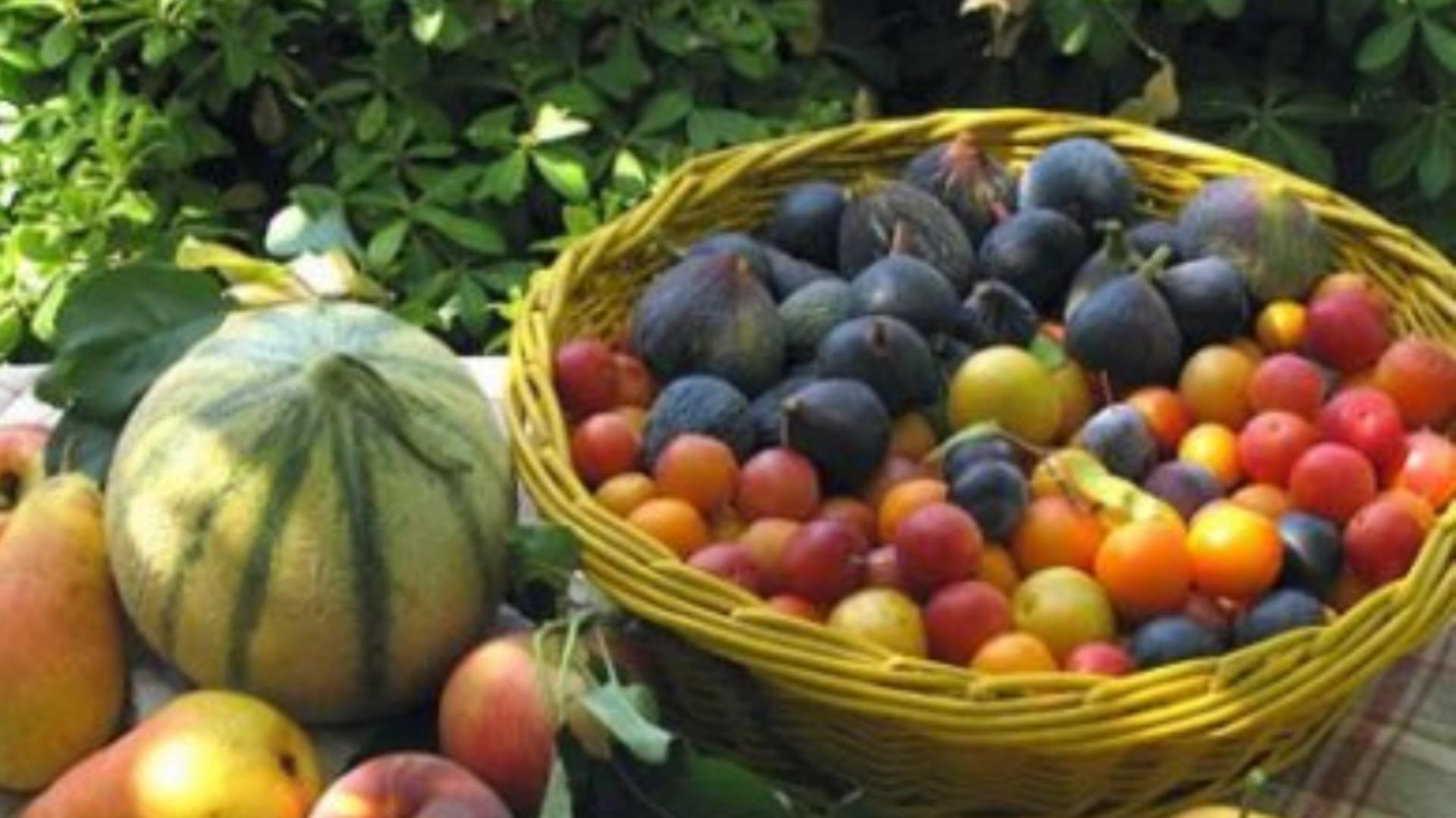 Cum pierzi kilogramele în plus cu 10 fructe şi legume de toamnă - Trebuie să renunți la 2 produse periculoase pentru sănătate