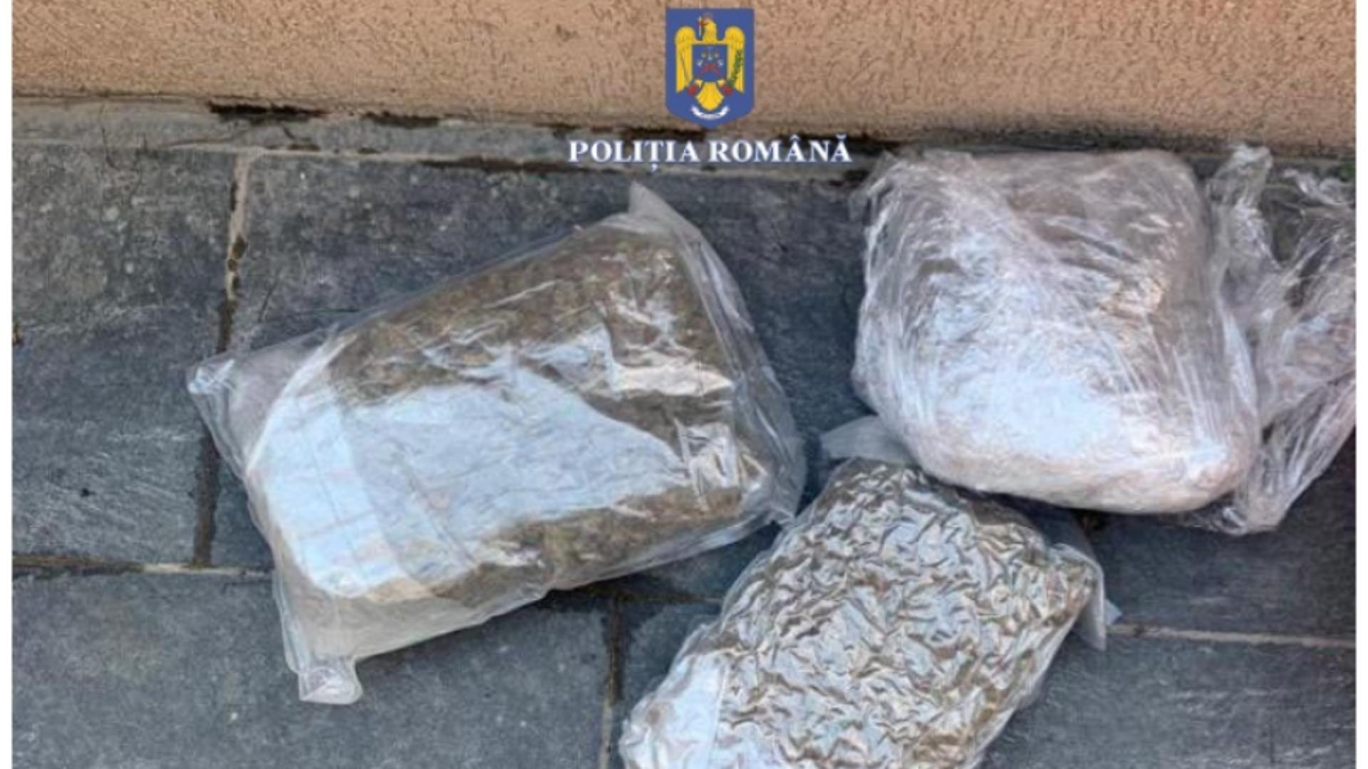 Traficanții de droguri s-au orientat spre agricultură! Metoda folosită pentru a ascunde marfa - Ce a descoperit poliția