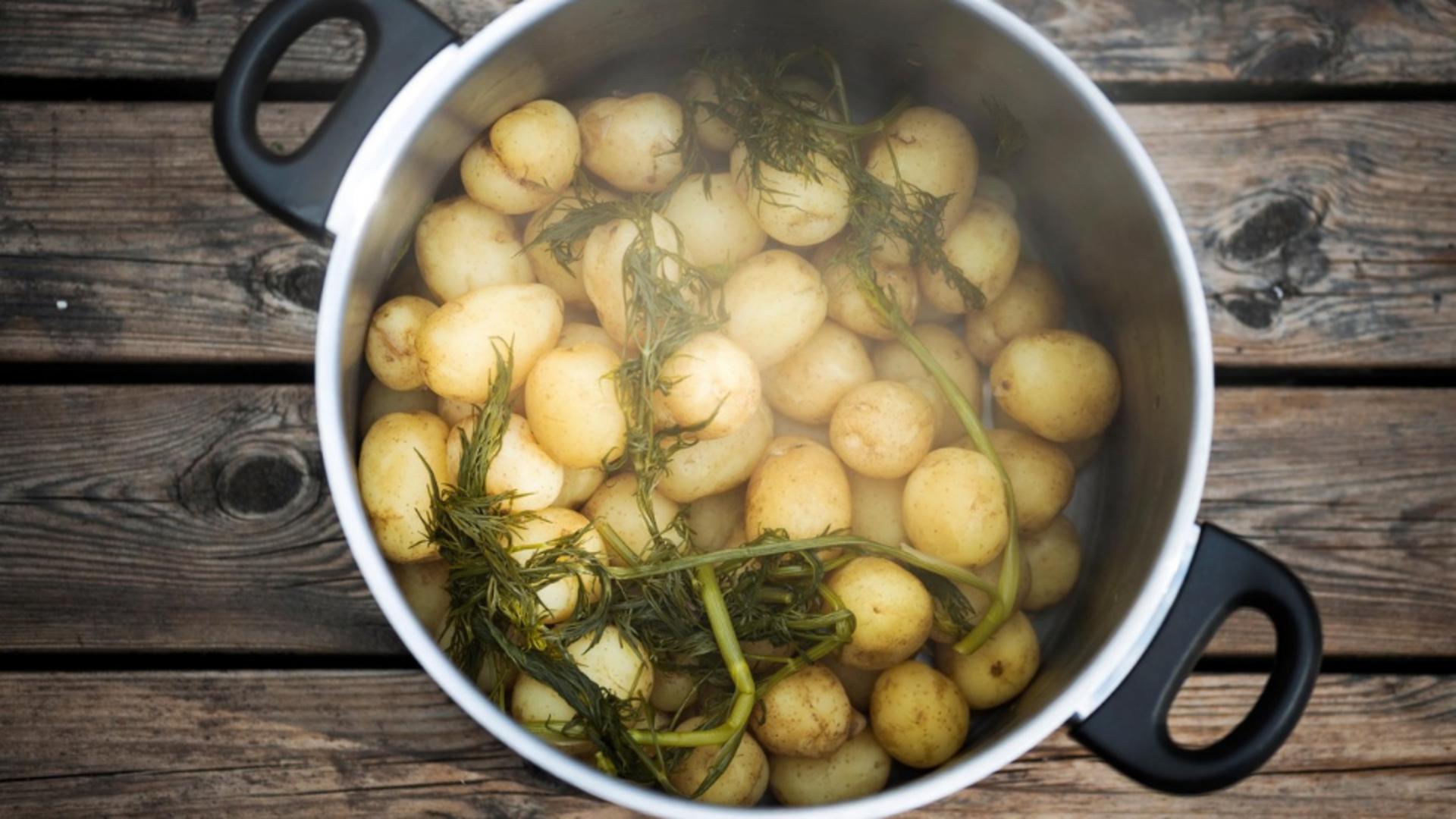 Ingredientul care face cartofii fierți mai gustoși. Foto/Profimedia