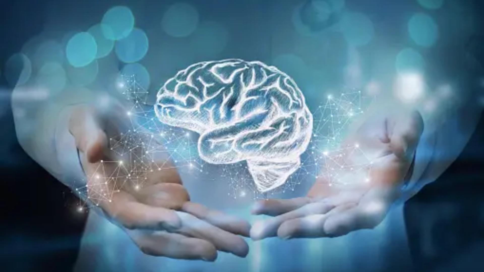 TOP 7 obiceiuri vitale pentru „hrana creierului” - Cum îți îmbunătățești memoria și concentrarea