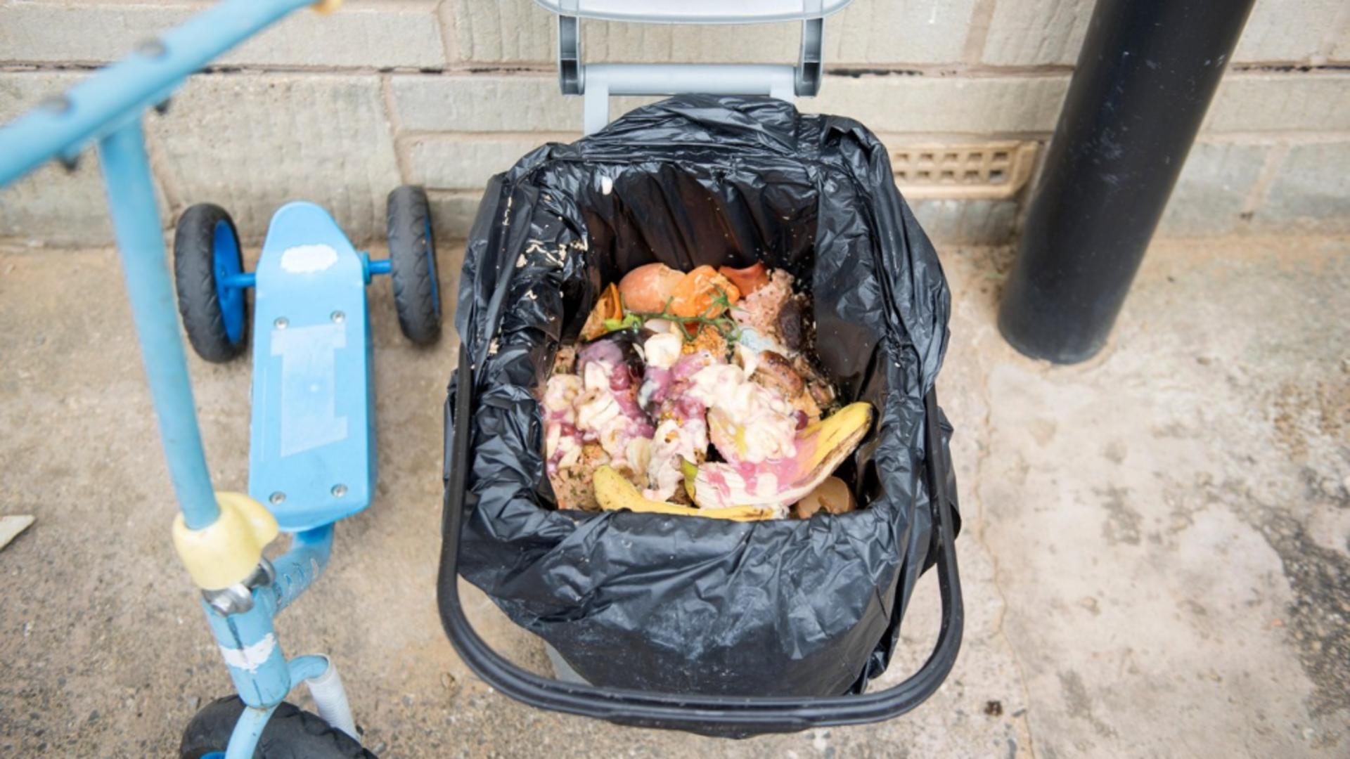 Un singur român aruncă pe an în jur de 130 de kg de mâncare. Foto/Profimedia