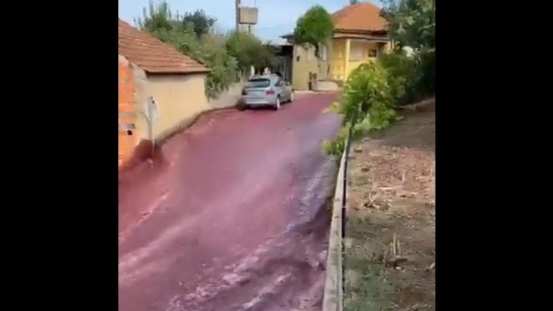 Sat inundat de vin rosu