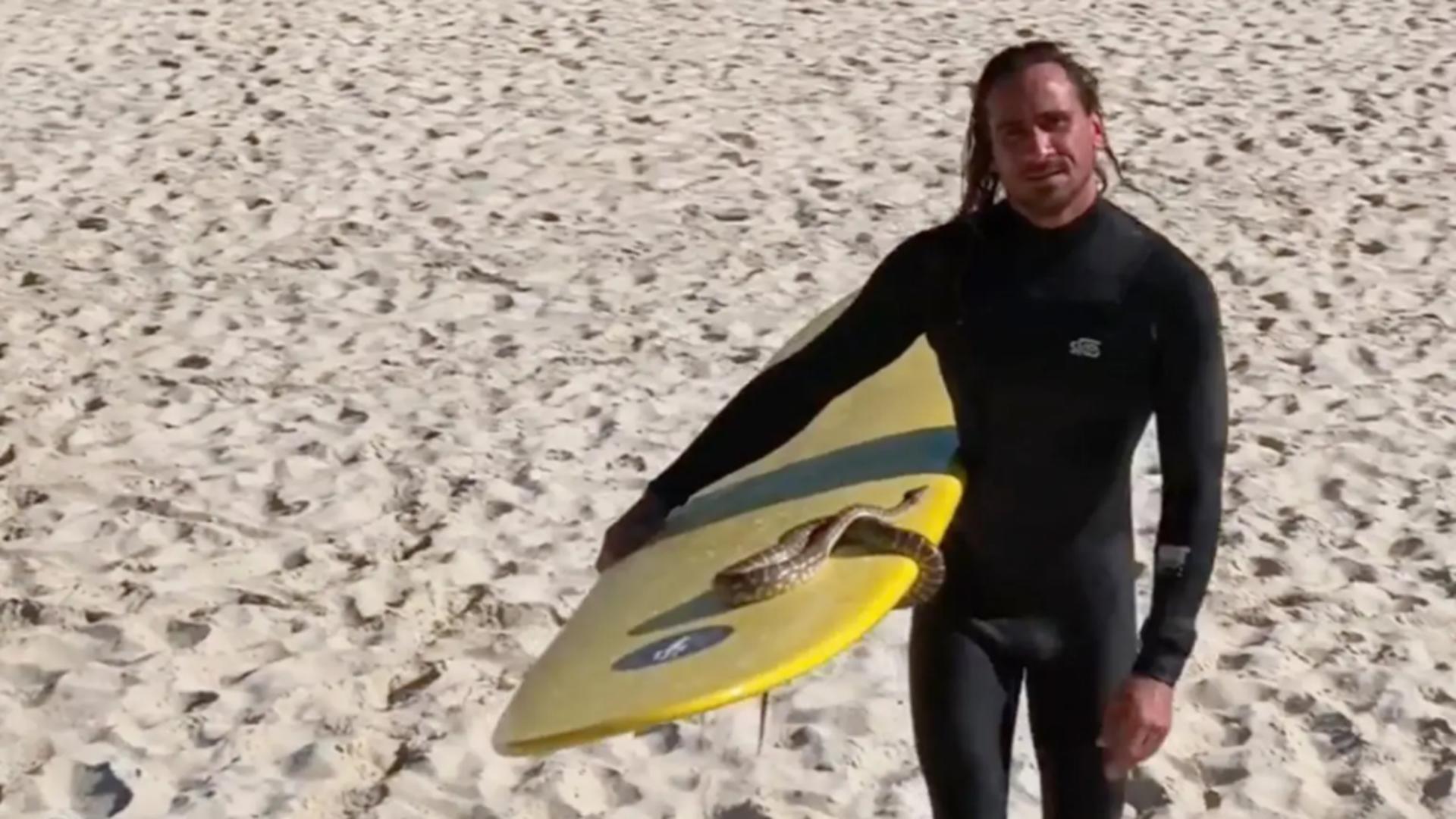 Amendă pentru că a făcut surf cu un ȘARPE la gât. Ce regulă a încălcat? – VIDEO