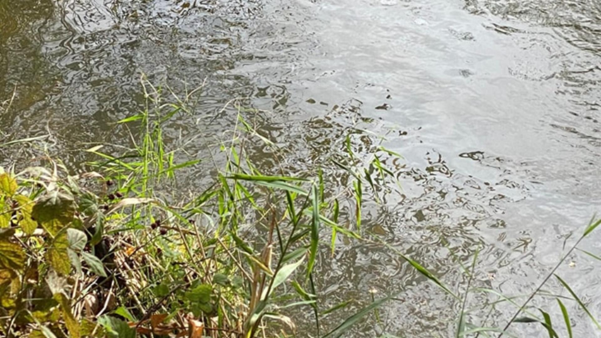 Poluare pe râul Cibin din Sibiu, cu un produs petrolier: Apele Române, anunț pentru locuitorii din localitățile din aval - Primele măsuri 