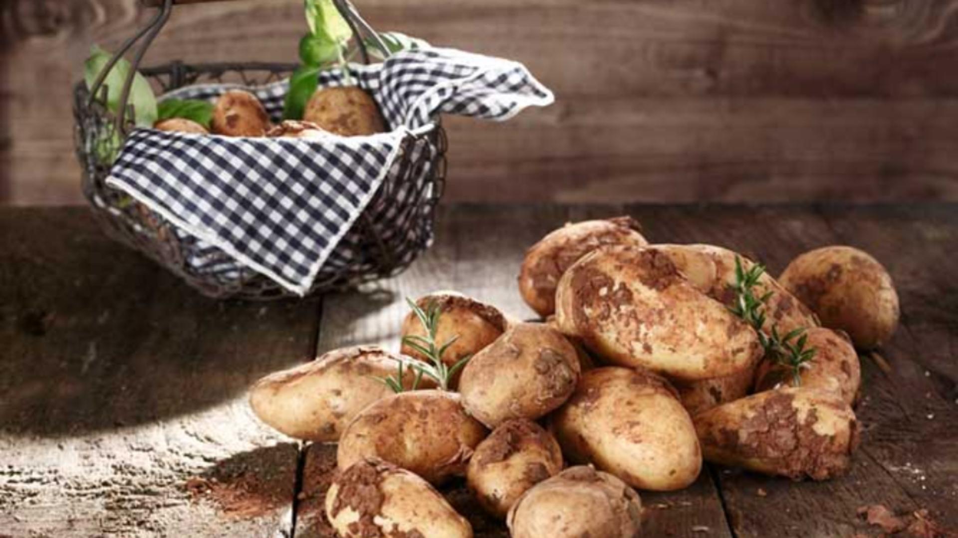 De ce putrezesc cartofii – Cum îi păstrezi pe toată perioada iernii și în alte anotimpuri: 5 metode sigure 