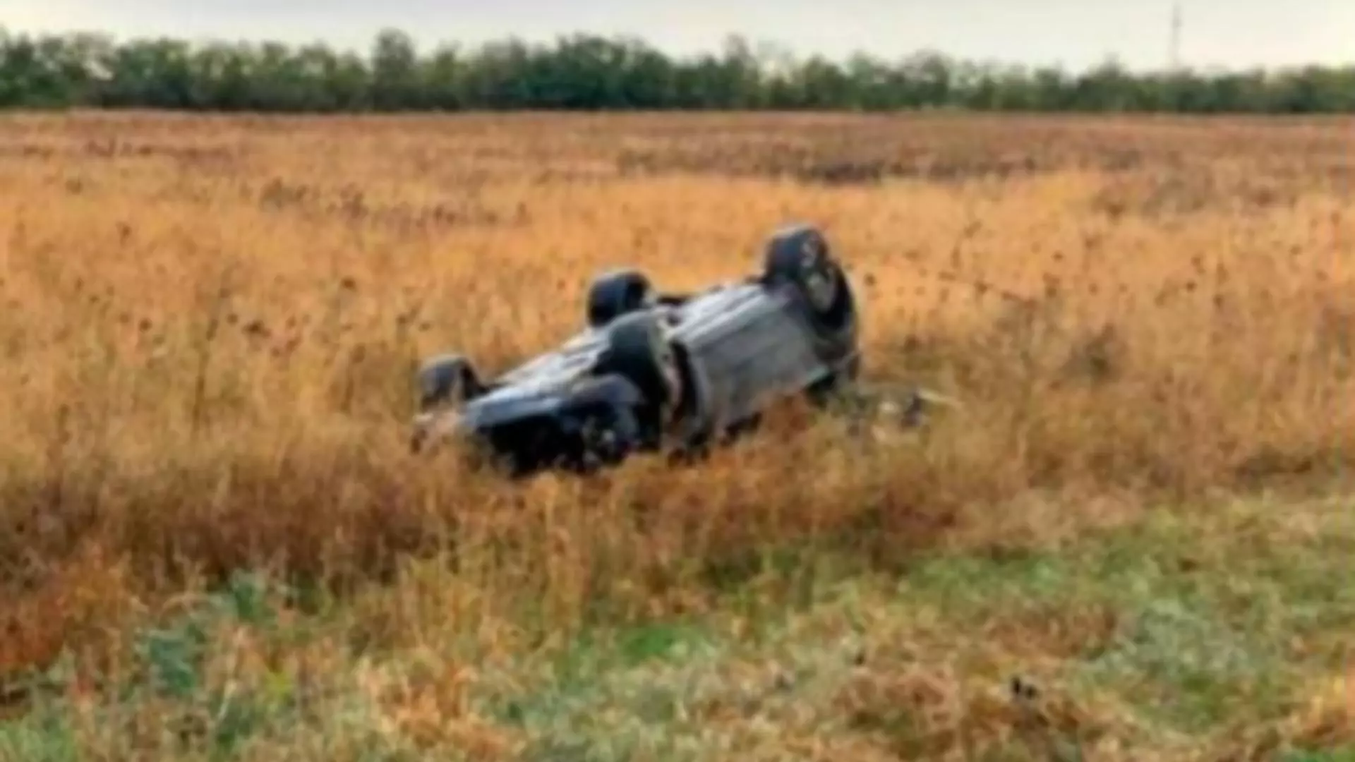 Accident Brăila/ Captură foto debraila.ro