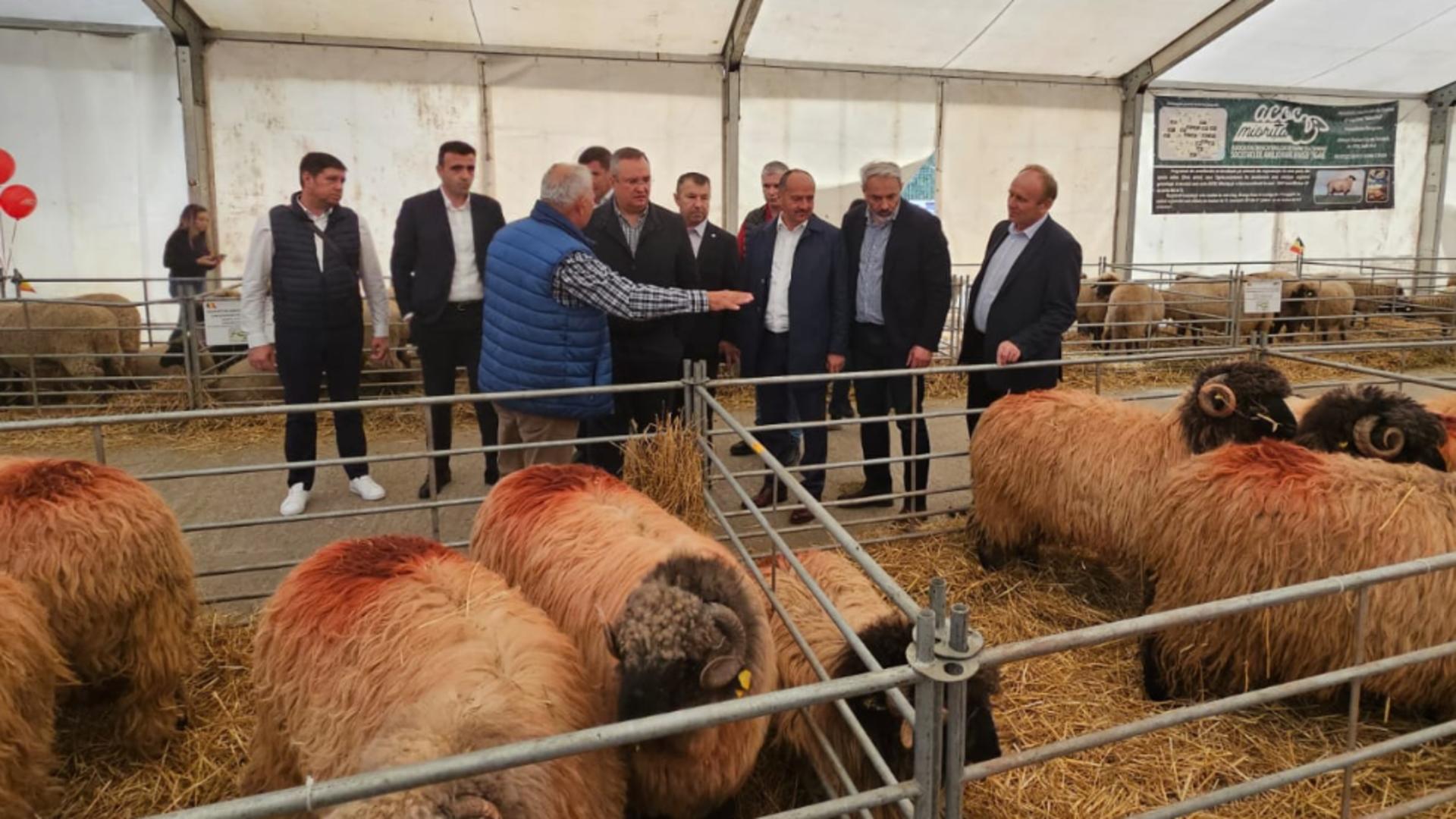 Nicolae Ciucă, vizită neașteptată la târgul Indagra. Discuții cu fermierii români – Măsuri pentru sectorul agricol