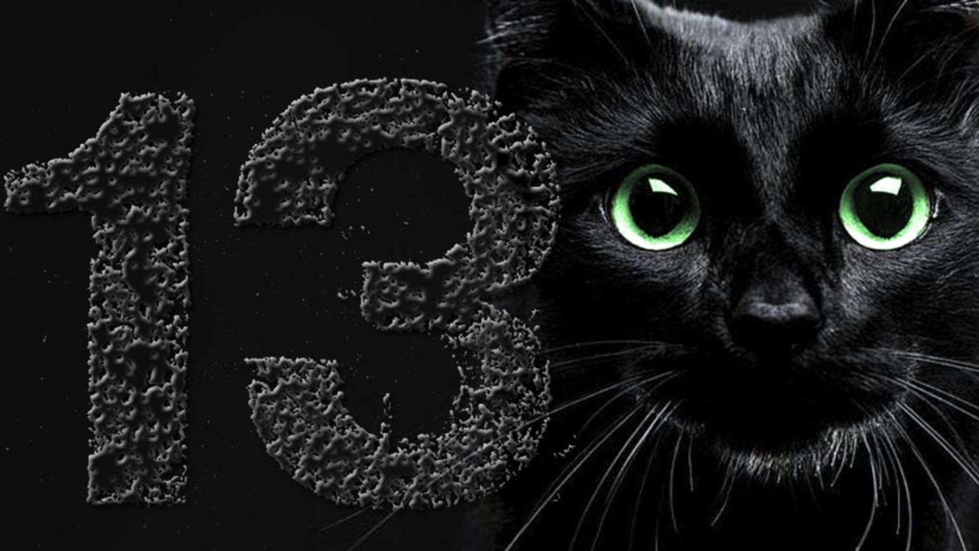 13 суеверия. С пятницей тринадцатой с кошкой. Тринадцать кошек. Тринадцать черных кошек. 13 Черная кошка.