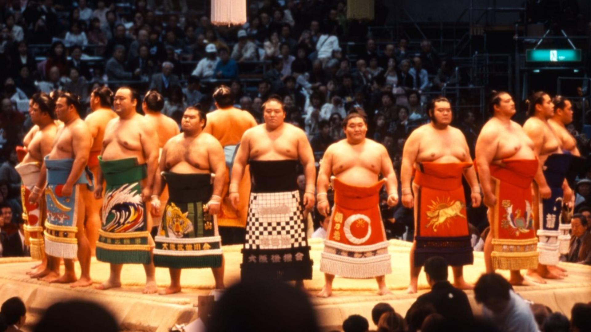 Cum au dat luptătorii de sumo bătăi de cap unei companii aeriene. Foto: Profimedia