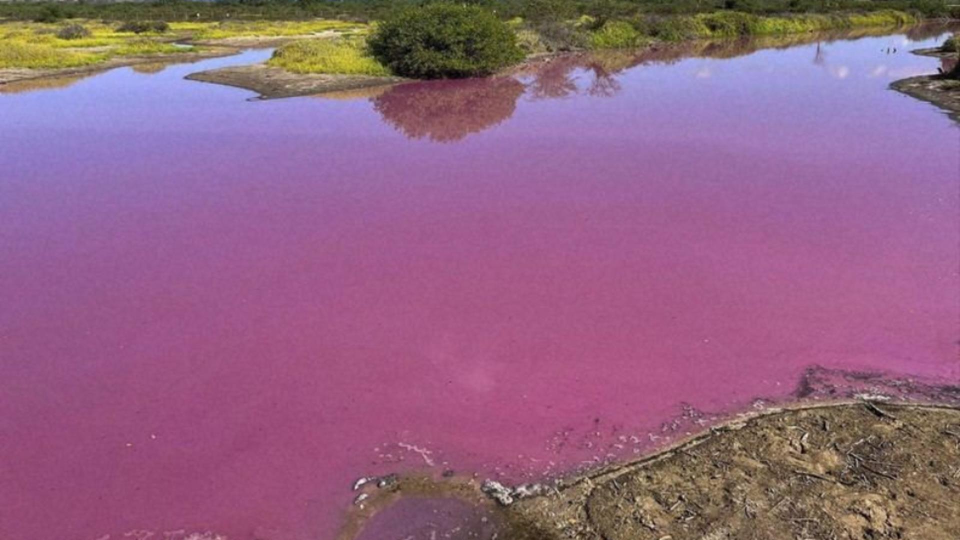 Un lac din Hawaii a căpătat culoarea Barbie! De ce a devenit apa roz – Specialiștii caută o explicație