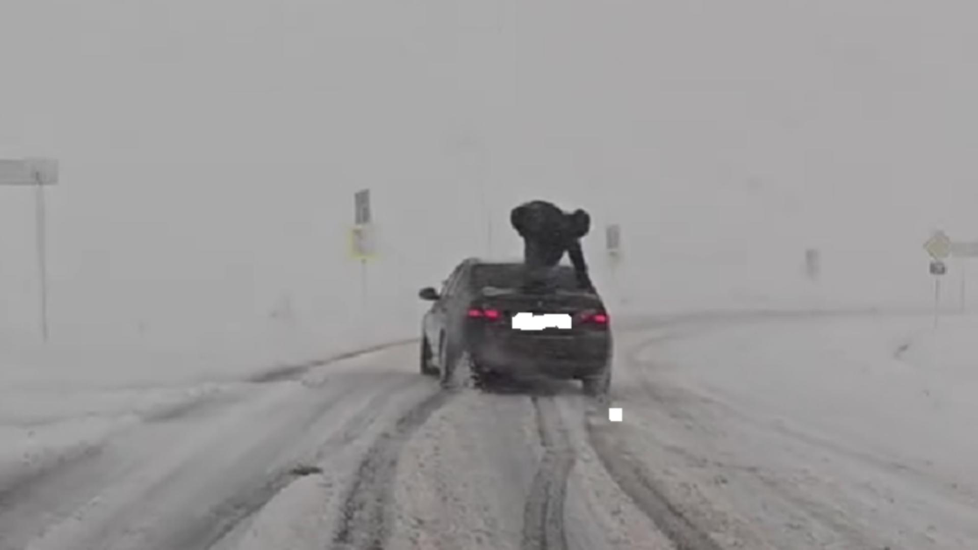 Tânăr, surprins în timp ce sărea pe portbagajul unei mașini care patina, pe un drum din Vaslui – Imaginile au devenit virale