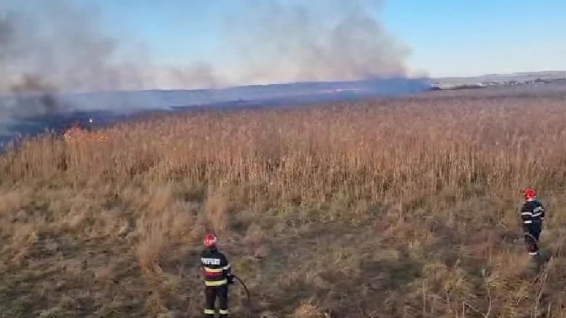Incendiu devastator, în Tulcea. Au luat foc 10 hectare de vegetație uscată și stuf la Ceamurlia de Jos VIDEO