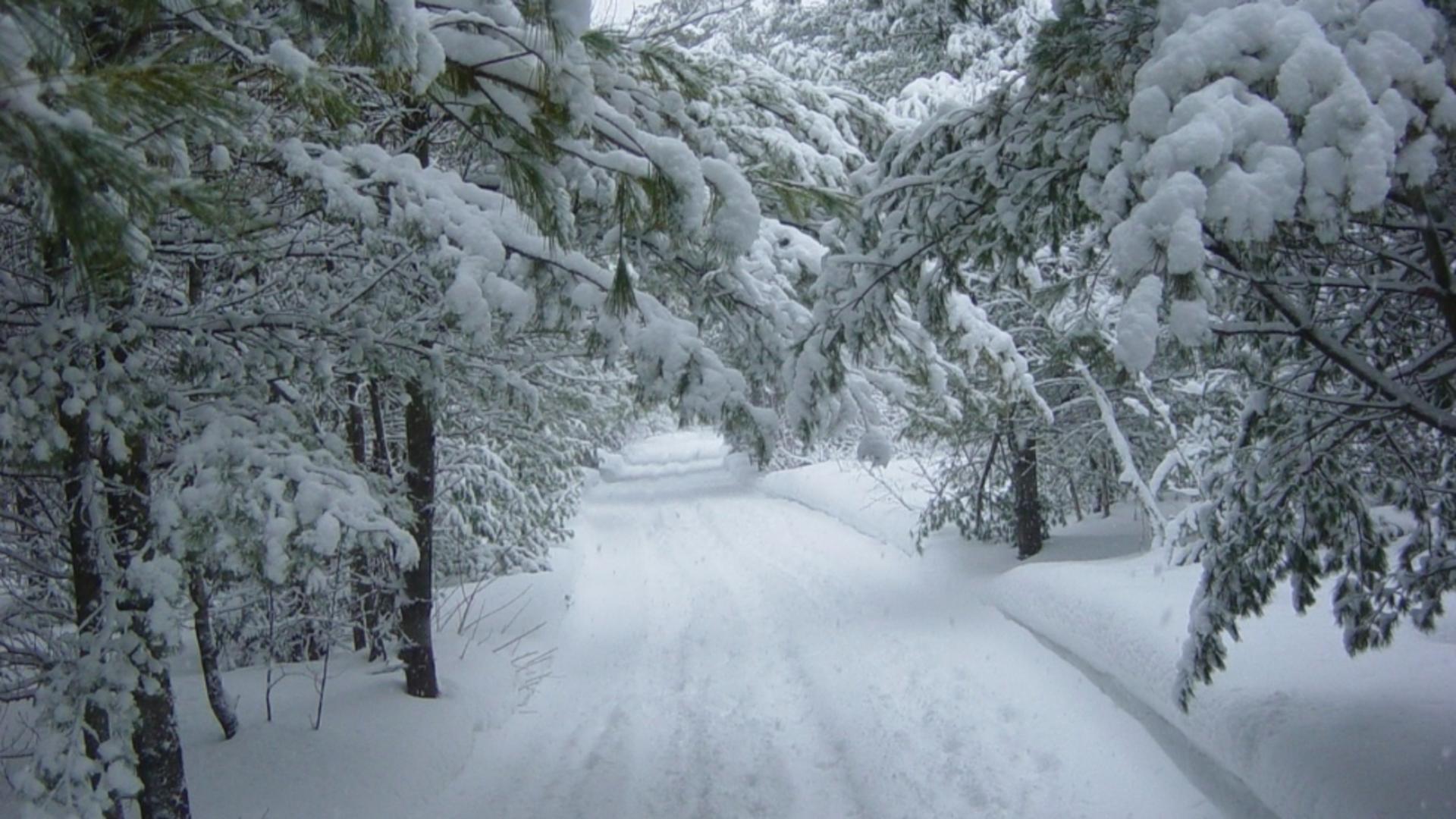 ANM a publicat prognoza pentru următoarele 4 săptămâni – Cum va fi vremea la sfârșit de ianuarie – Când vin ninsorile