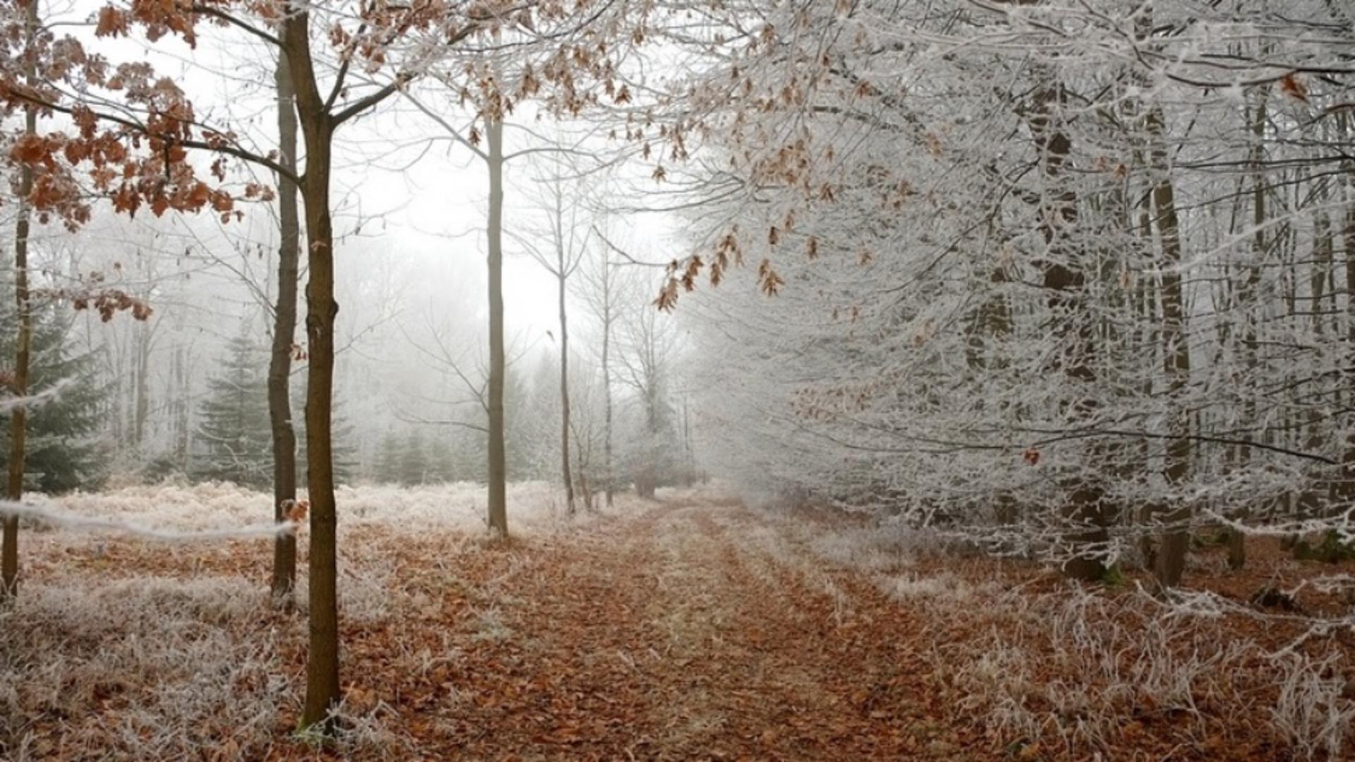Vremea 20 noiembrie – Temperaturile cresc după episodul de iarnă severă