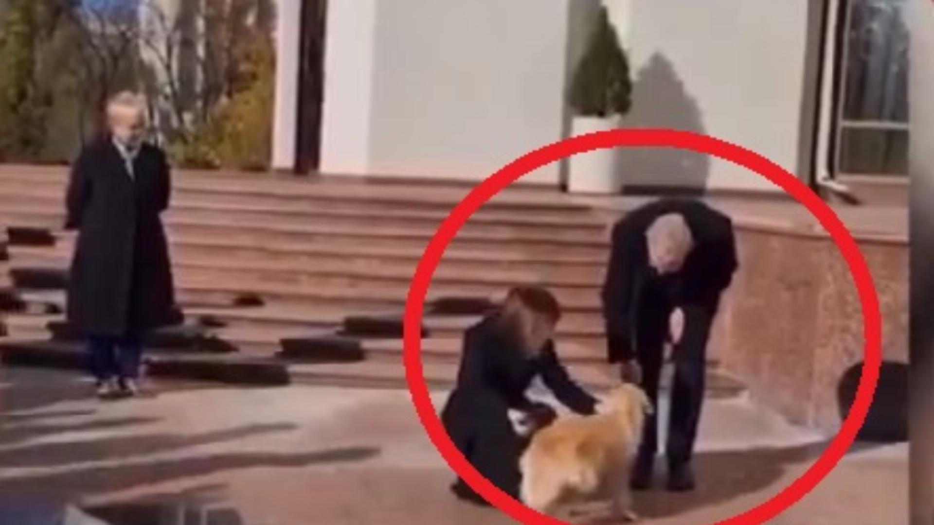 Câinele Maiei Sandu l-a mușcat pe președintele Austriei – VIDEO cu momentul