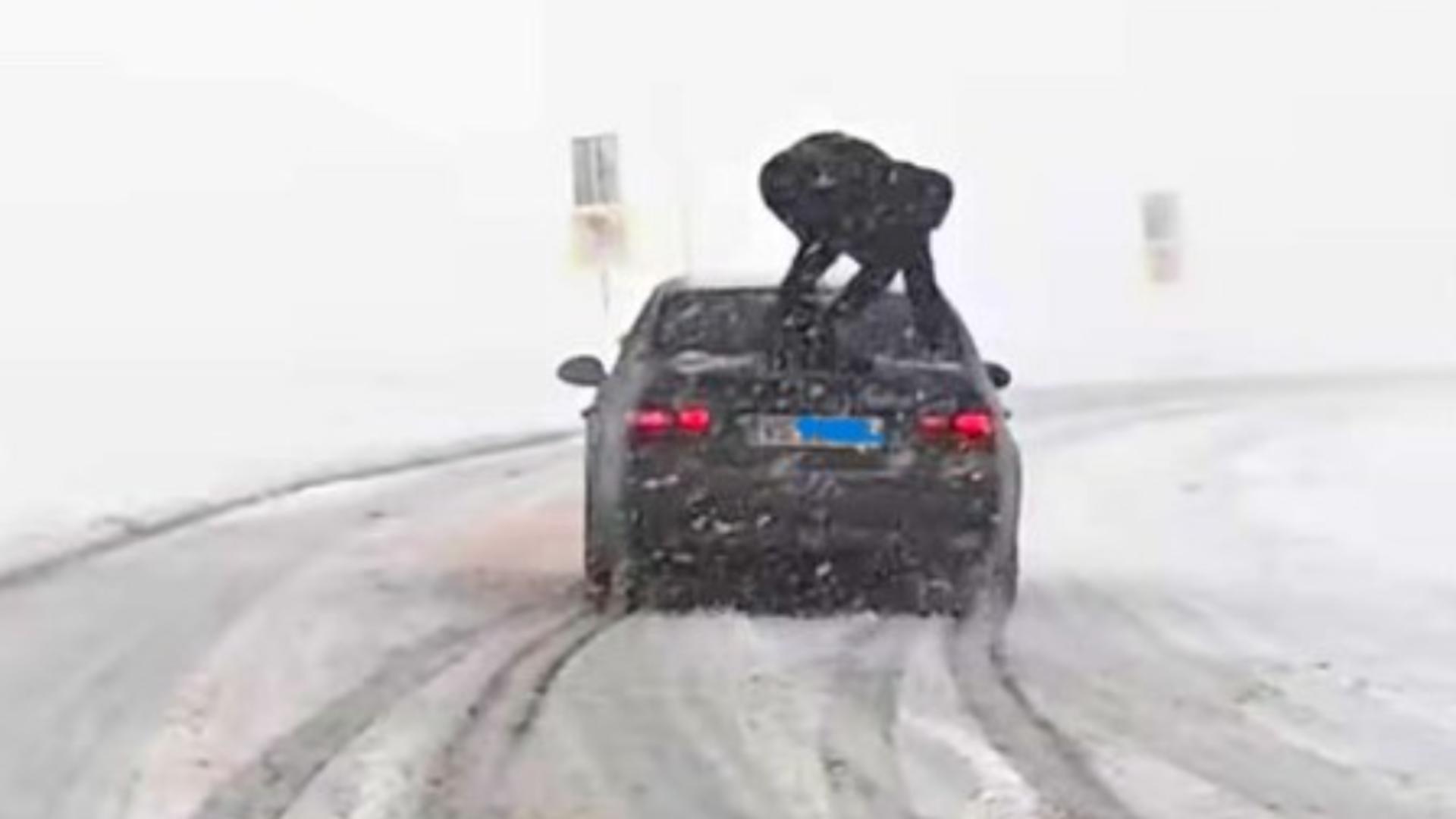 Poliția, reacție spumoasă în cazul vasluianului care s-a urcat pe capota mașinii în MERS – VIDEO