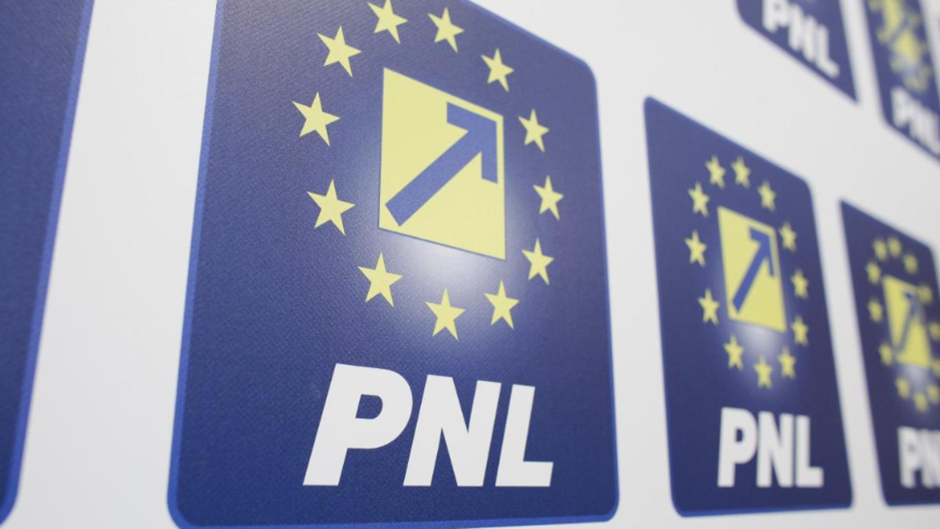 PNL a transmis propunerea pentru apărarea Pilonului 2 de pensii / Foto: INQUAM/Octav Ganea