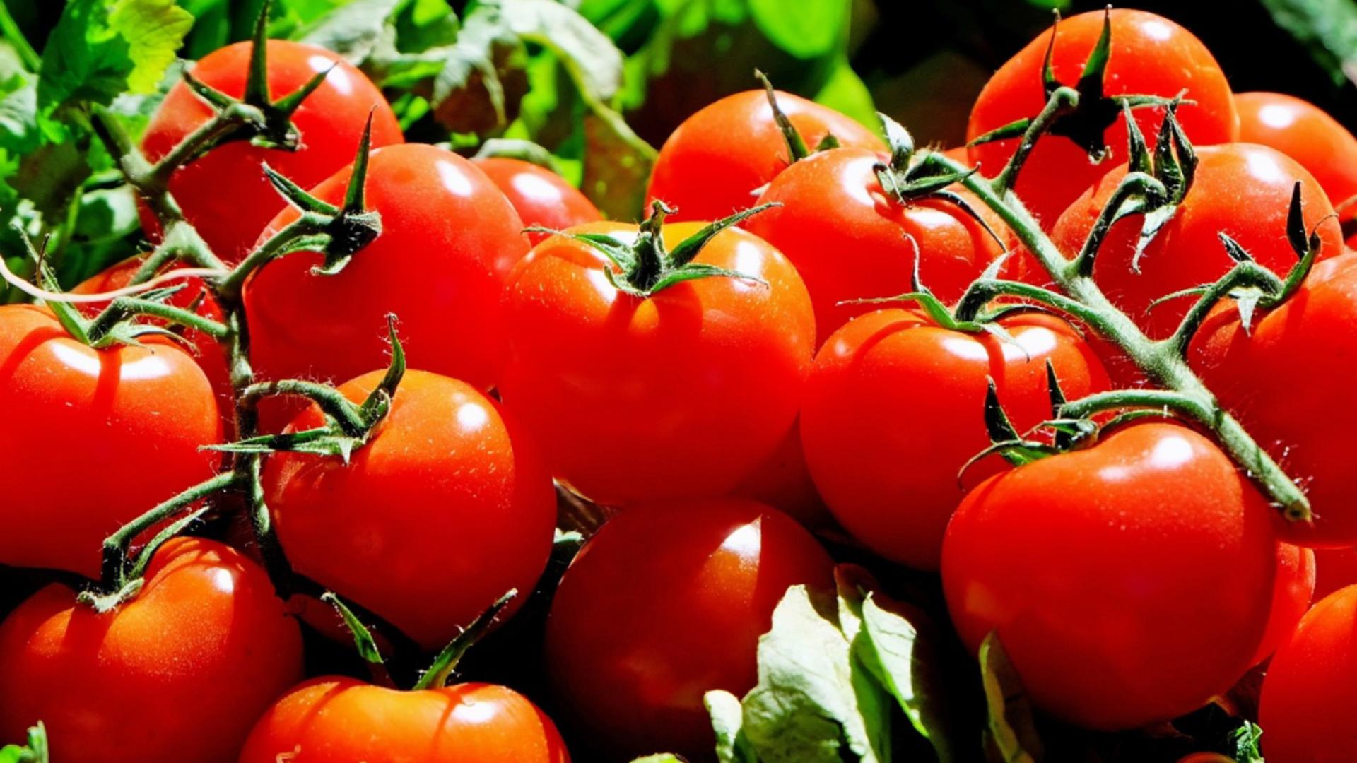 Ajutoare de 37,6 milioane euro pentru producătorii de tomate şi usturoi din România, aprobate de Comisia Europeană. Care sunt condițiile de acordare