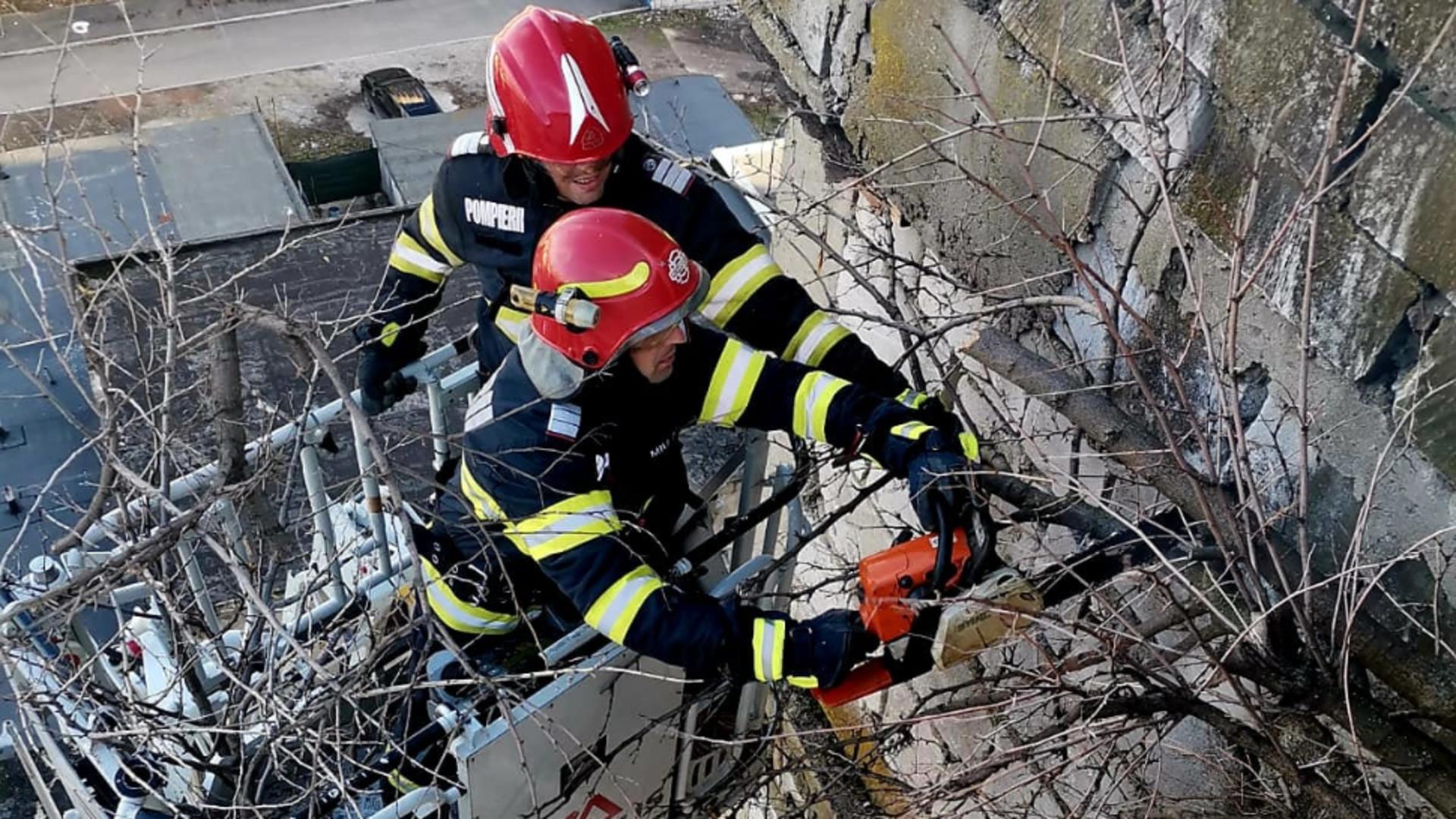 ISU Giurgiu, intervenție periculoasă – Pompierii, chemați urgent de locatari pentru un copac ce a crescut la etajul 8