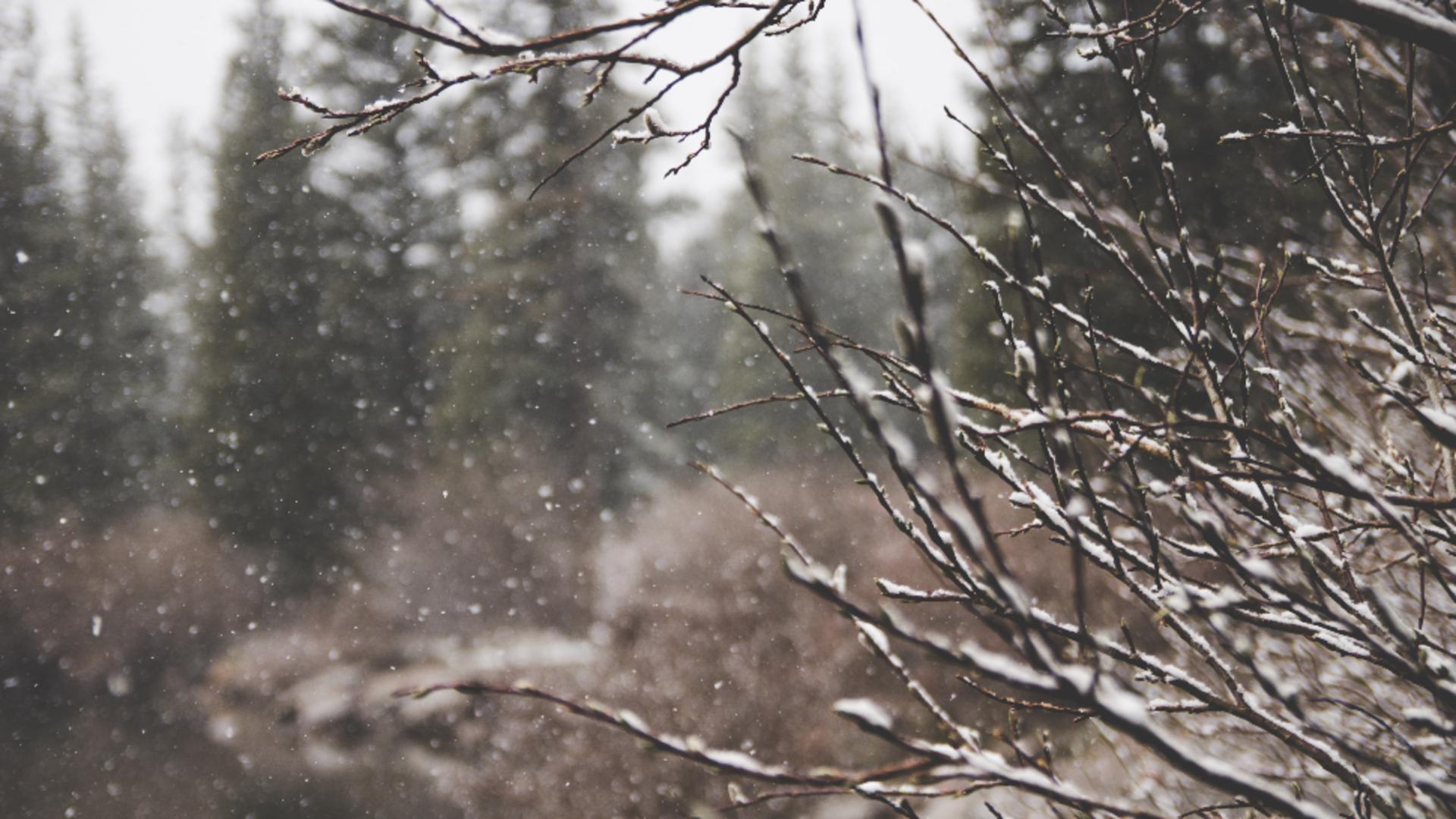 Sărbătorile cu zăpadă ca în povești rămân doar un vis frumos? ANM anunță temperaturi peste cele obişnuite de Crăciun şi Anul Nou