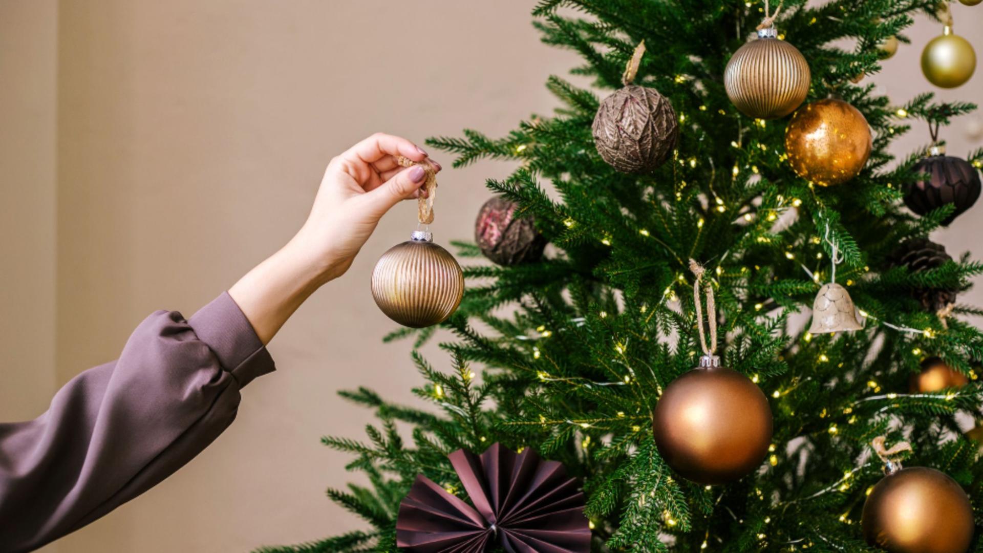Secretul despodobirii bradului: Când este bine să te desparți de pomul festiv, dacă vrei să ai noroc tot anul