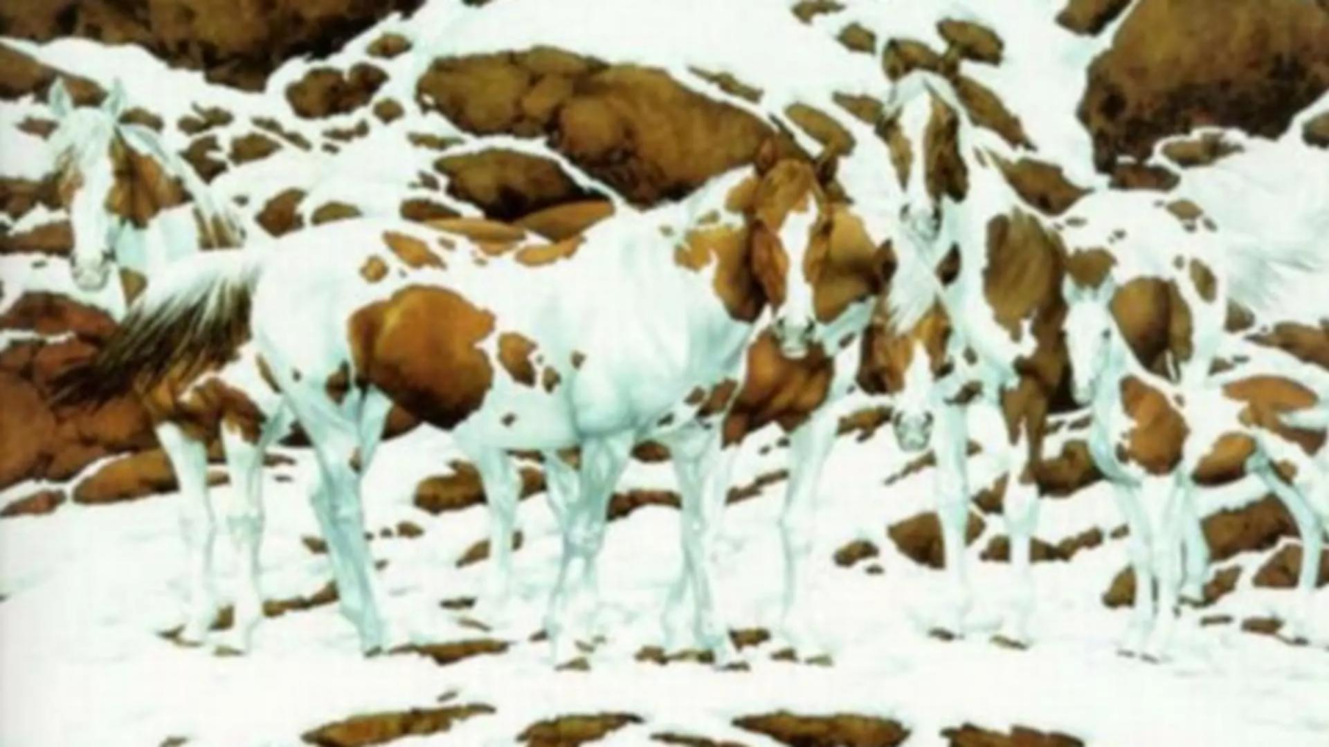 O iluzie optică înfăţişând mai mulţi cai îți testează mintea la maximum: câte animale sunt în poză?
