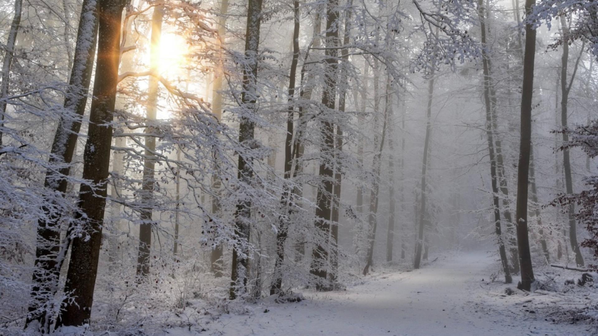 Vremea 1 ianuarie – Temperaturi peste normalele acestei perioade. La cât va ajunge mercurul în termometre în Capitală