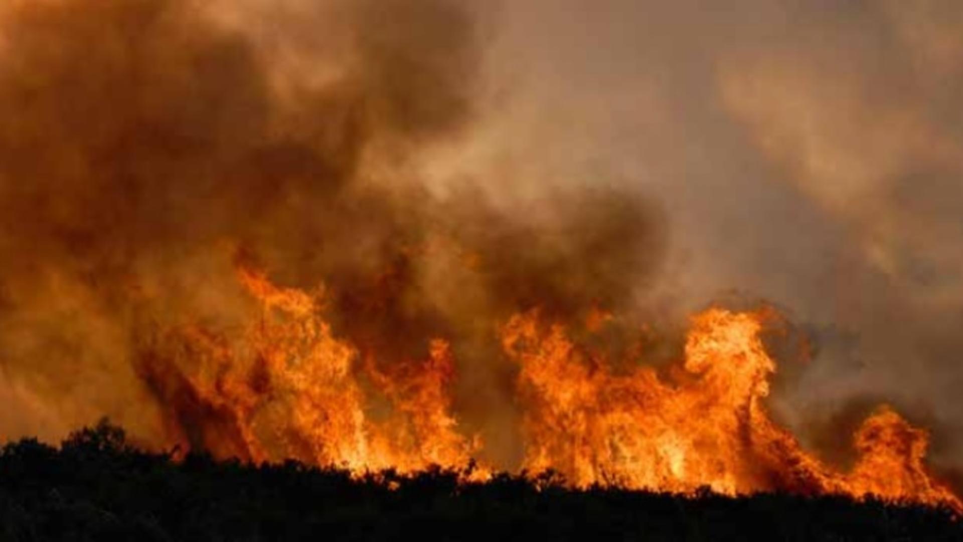 Incendiu de vegetație lângă Ferma Dacilor: 8 hectare, misuite de foc