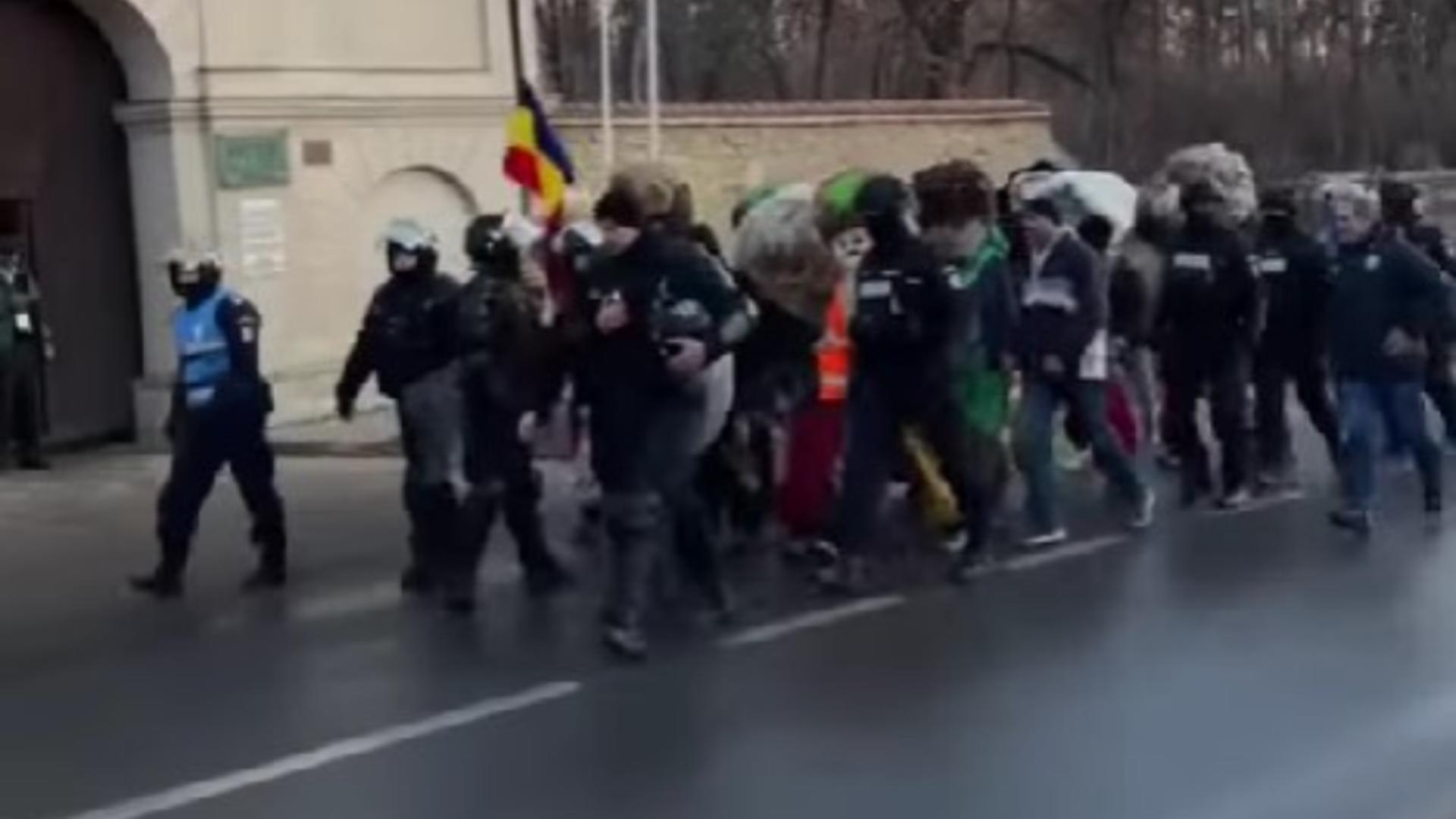 „Bătăușii” - flancați de jandarmi ca la meciurile de fotbal. Foto/Captură video
