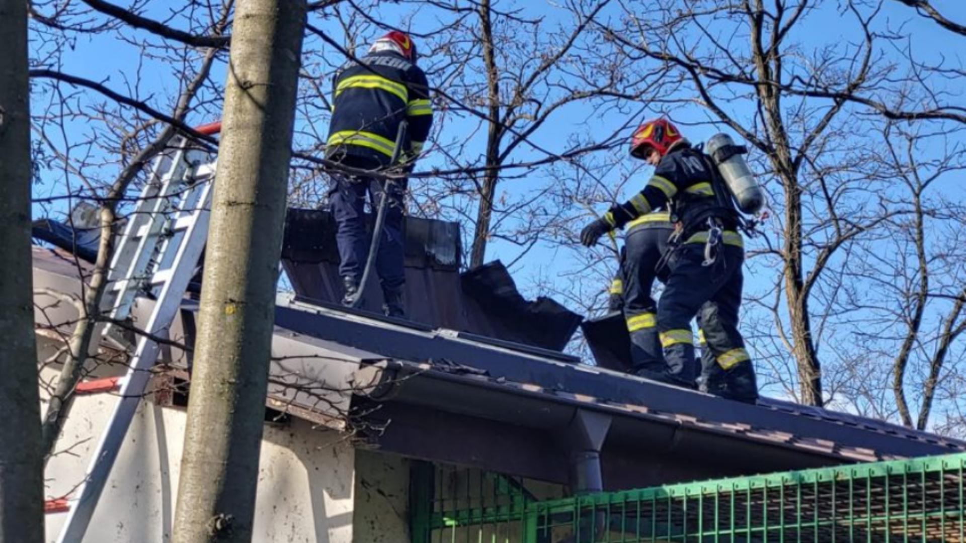 Incendiu la Grădina Zoologică din Râmnicu Vâlcea: acoperișul pavilionului cu maimuțe a luat foc