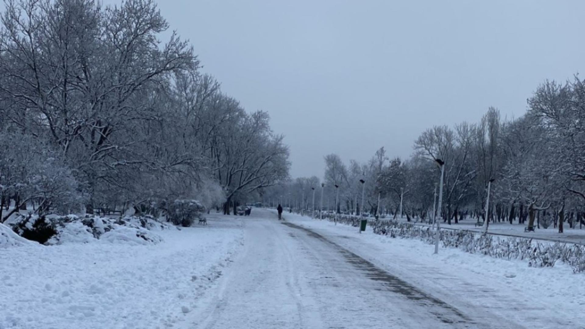 Primăria Municipiului București, sancționată contravențional de către polițiștii locali ai Sectorului 4 pentru trotuarele pline de gheață și zăpadă