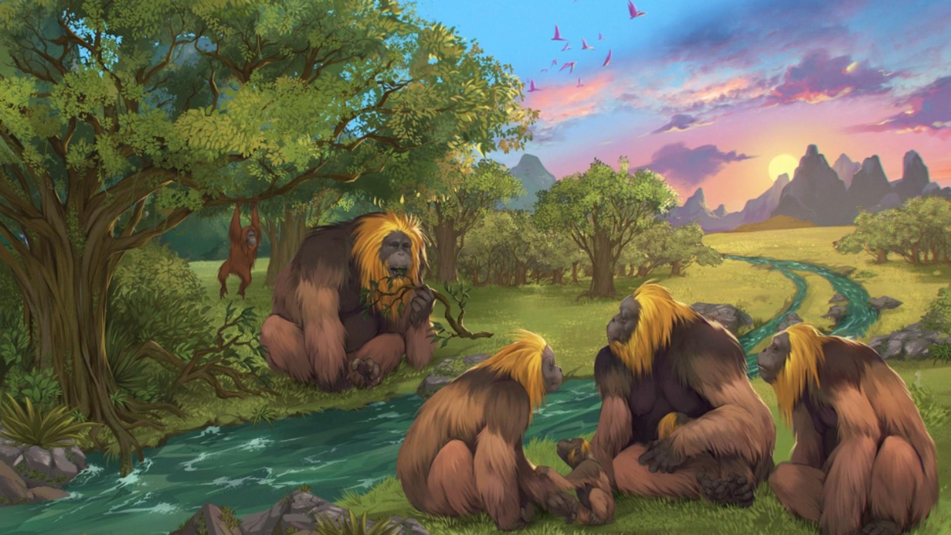 King Kong chiar a existat. Cum și de ce a dispărut cea mai mare maimuță?