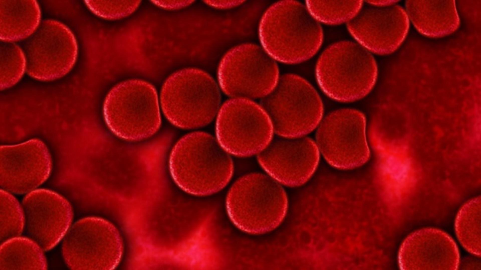 Cel mai important test de sânge pe care trebuie să-l faci anual: depistează boli grave