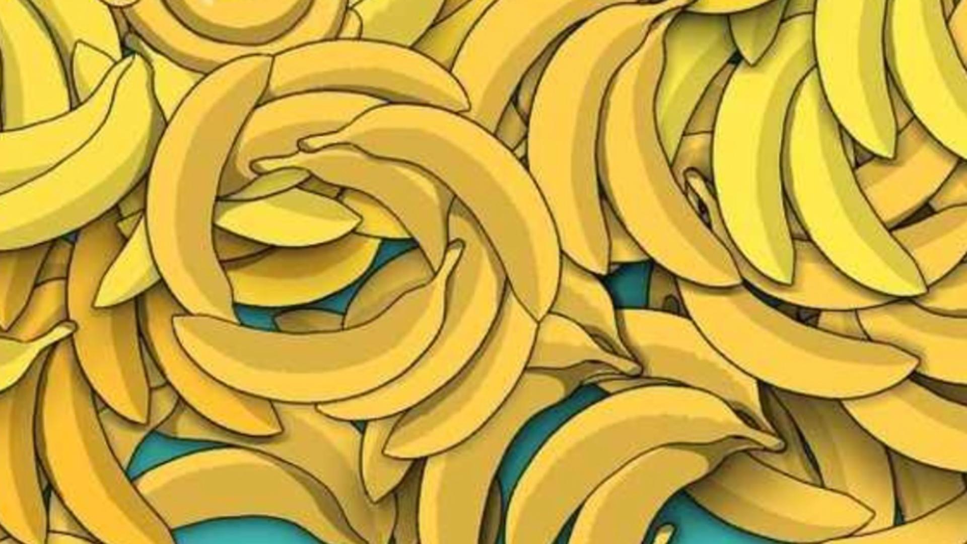 Testul de atenție pe care numai geniile îl trec: găsește șarpele ascuns în banane!