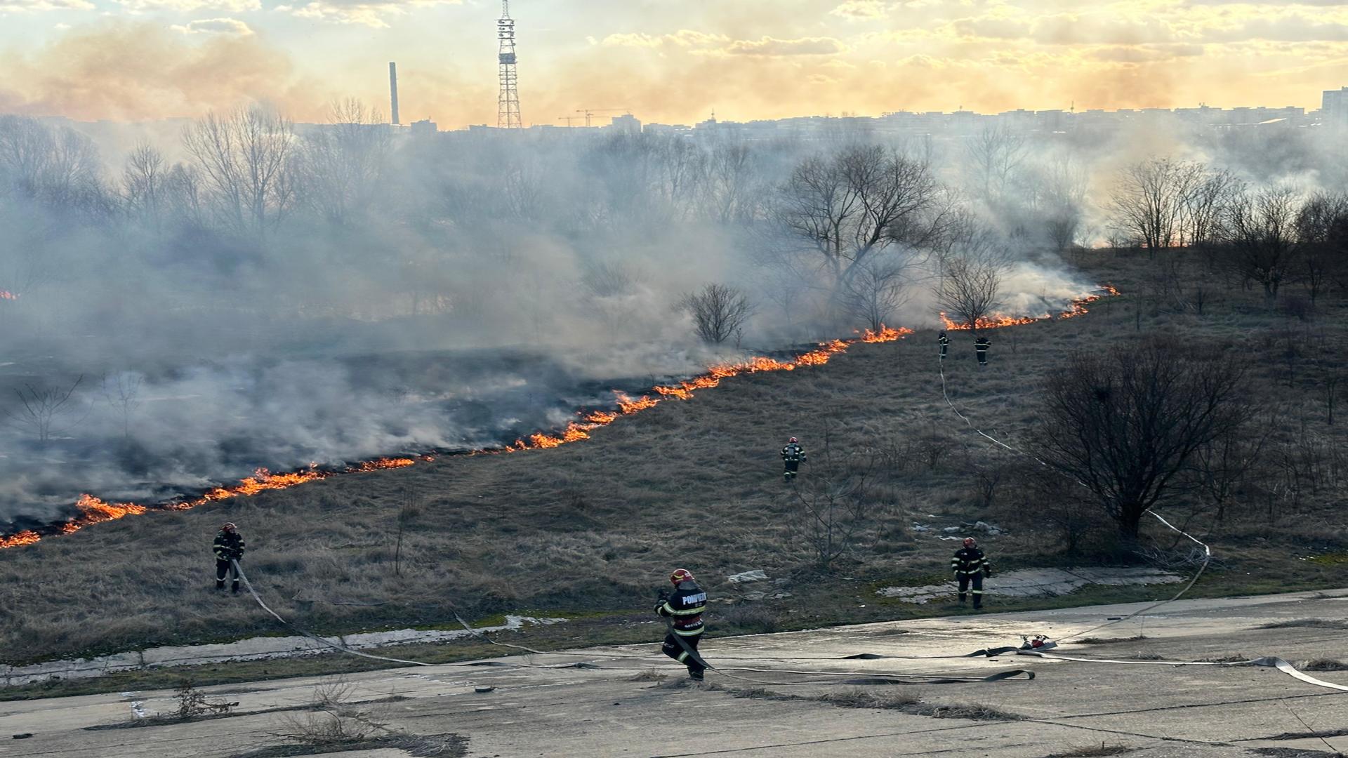 Incendiu devastator în Delta Văcărești: mobilizare de forțe la fața locului 