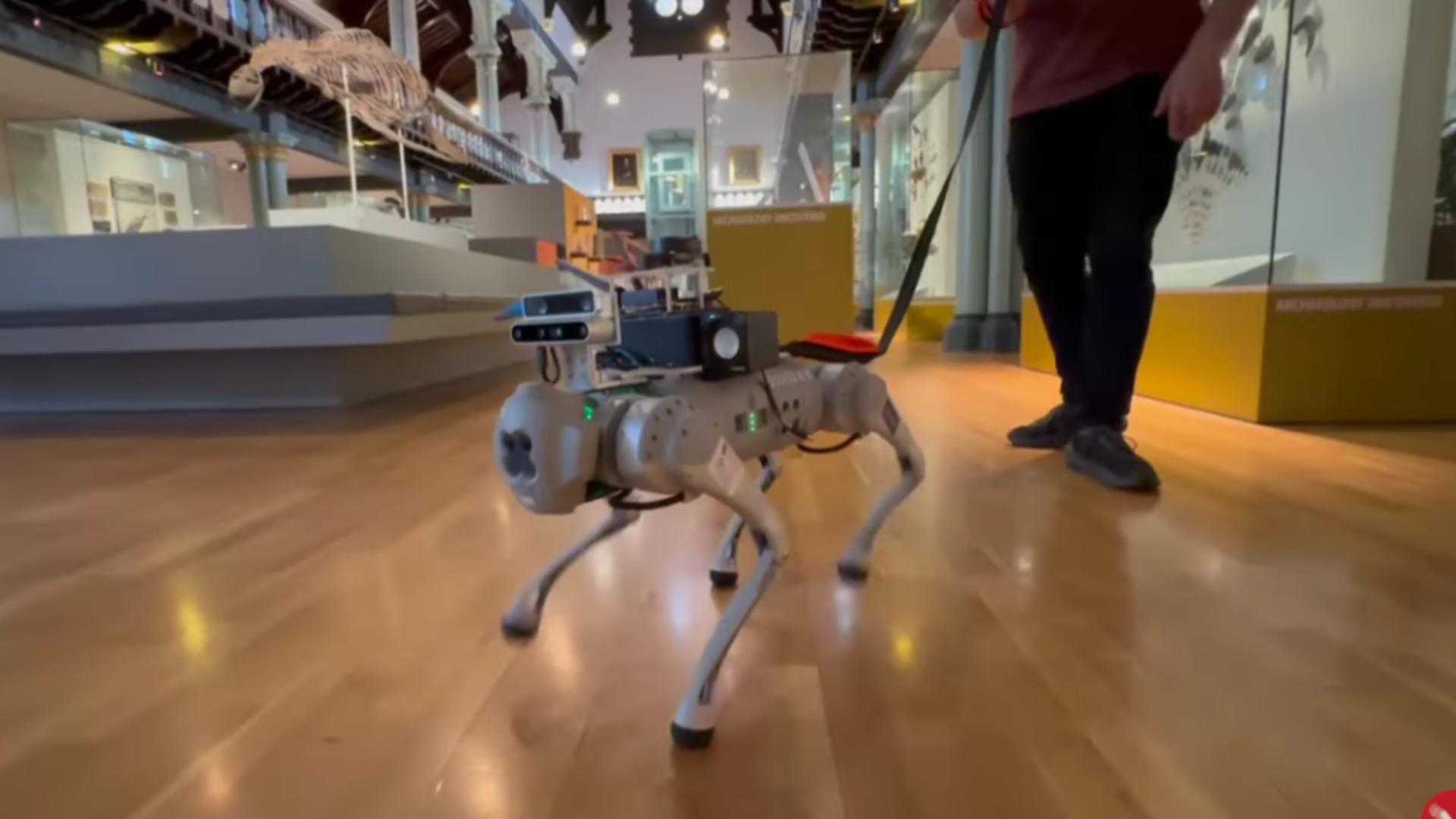 Câinii robot, controlați cu ajutorul Inteligenței Artificiale, noile ajutoare pentru nevăzători
