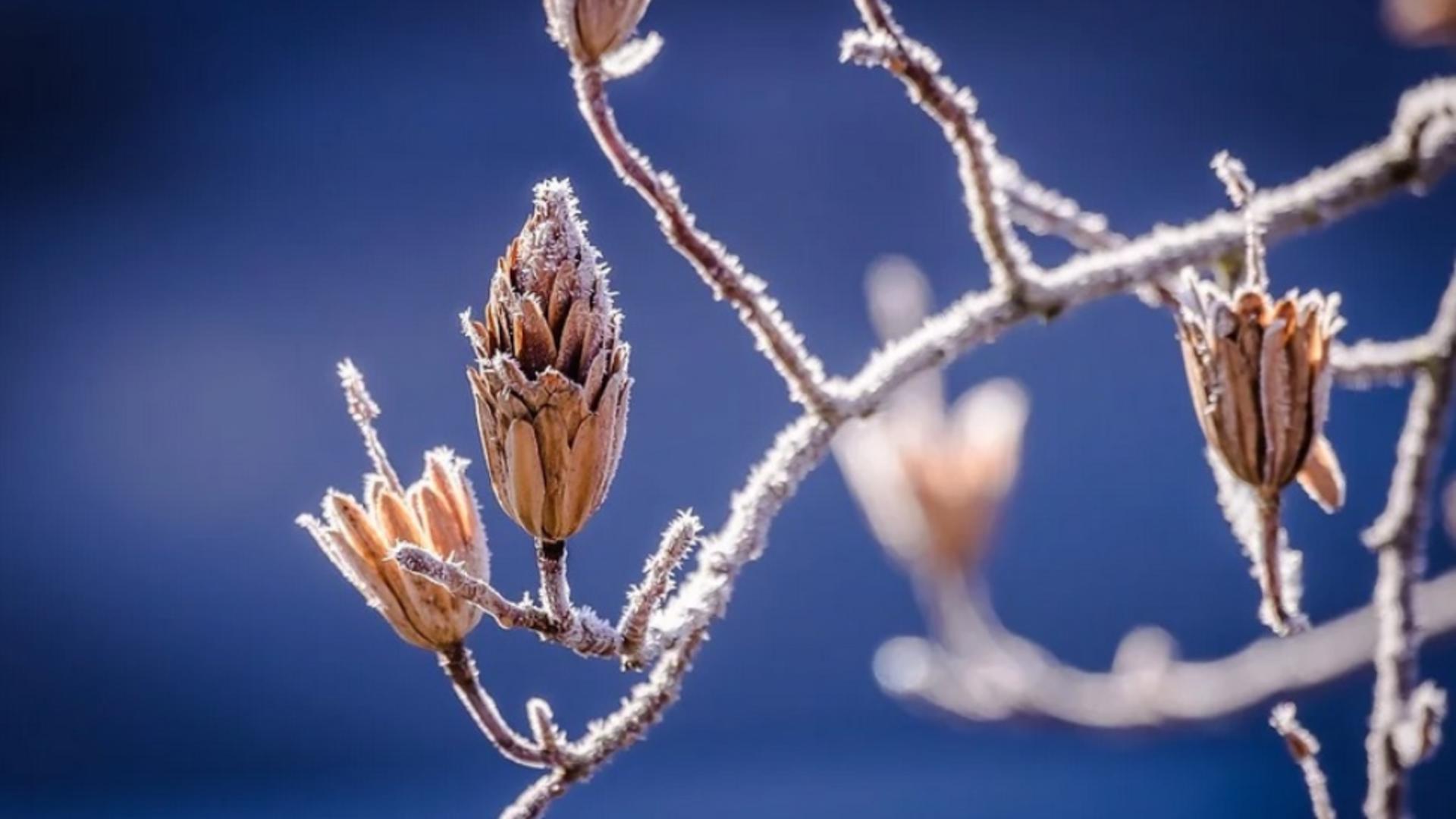 Alertă meteo de fenomene extreme periculoase imediate: cod galben în București și în mai multe județe