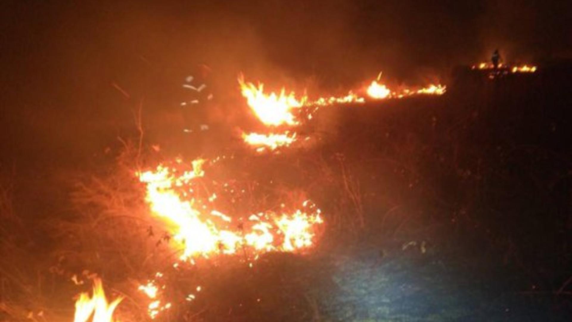 Incendiu masiv în Delta Neajlovului! Peste 50 de hectare au fost cuprinse de flăcări: zona mlăștinoasă, risc uriaș pentru pompieri