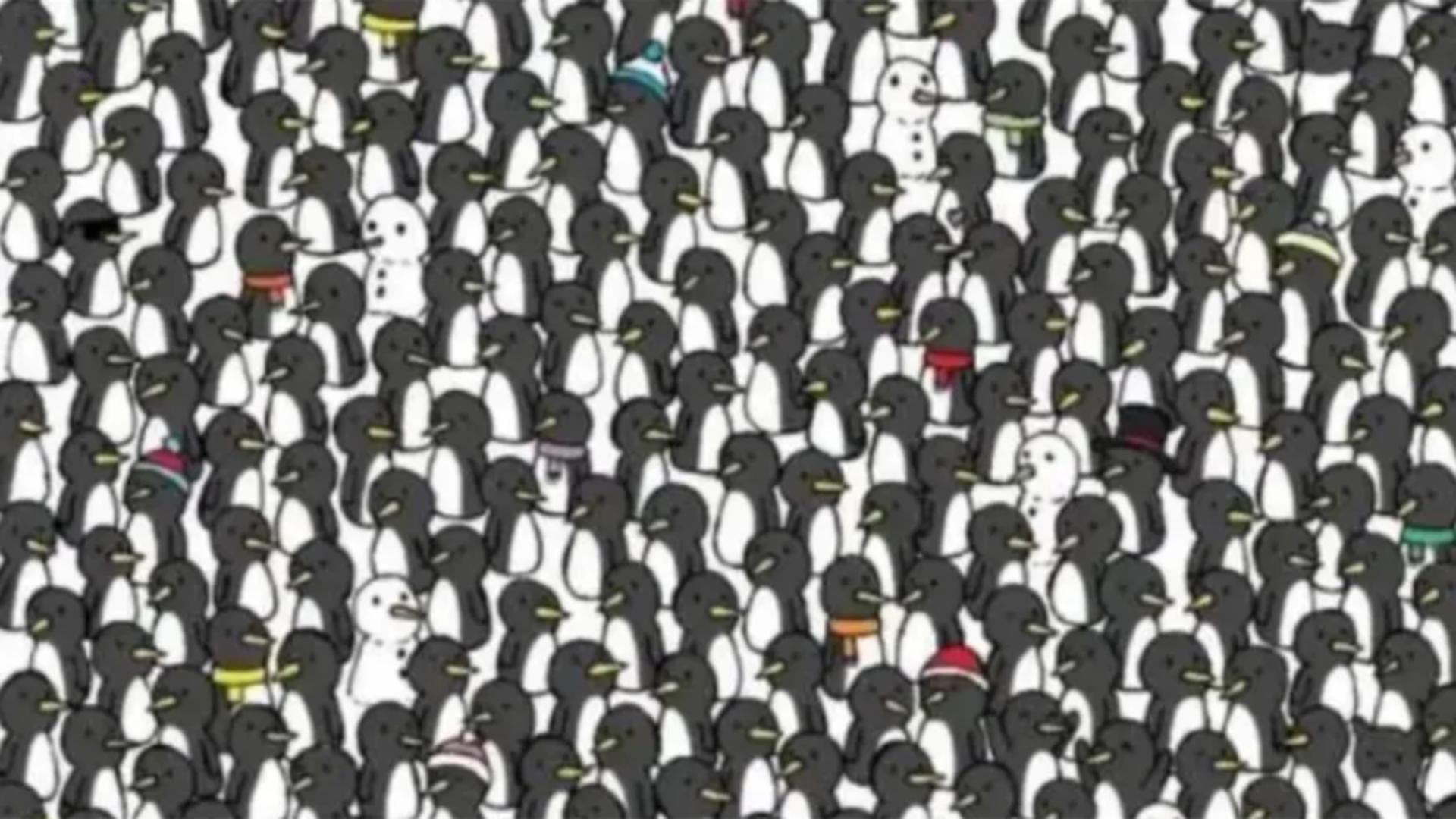 Testul detectivului suprem: Poți să găsești cele două pisici ascunse în mulțimea de pinguini? Numai geniile le găsesc în doar 10 secunde