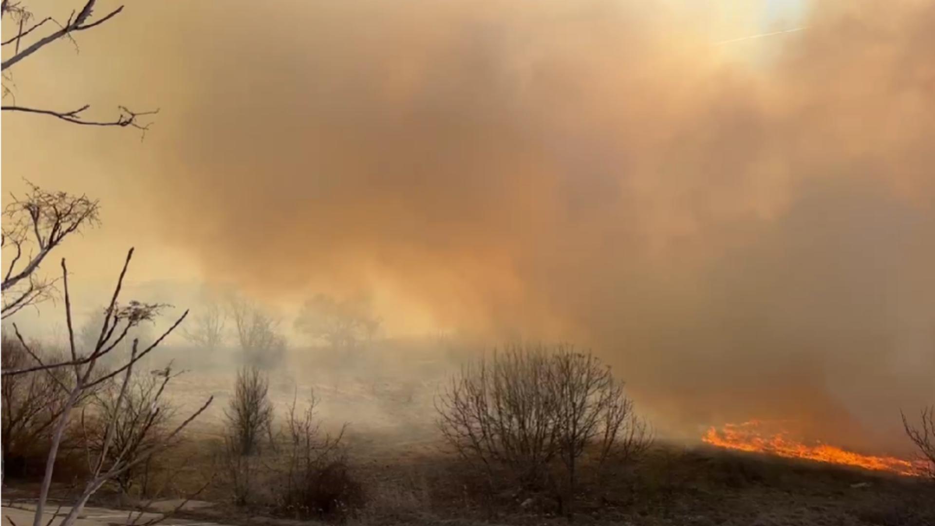 Incendiu devastator în Delta Văcărești: mobilizare de forțe la fața locului