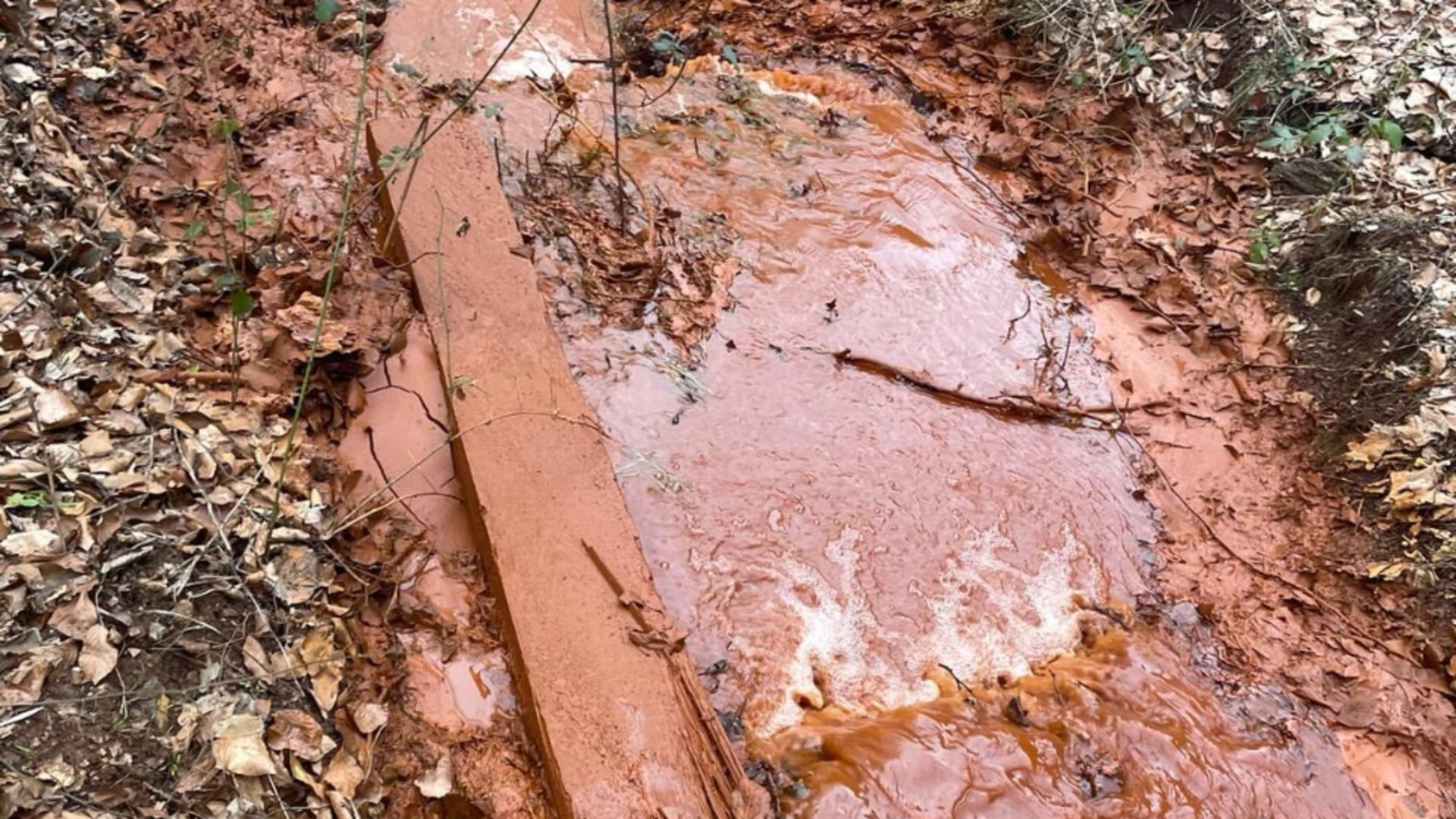 Dezastrul ecologic din Bihor se extinde: Poluarea provenită după prăbușirea unei galerii de mină are 17 km