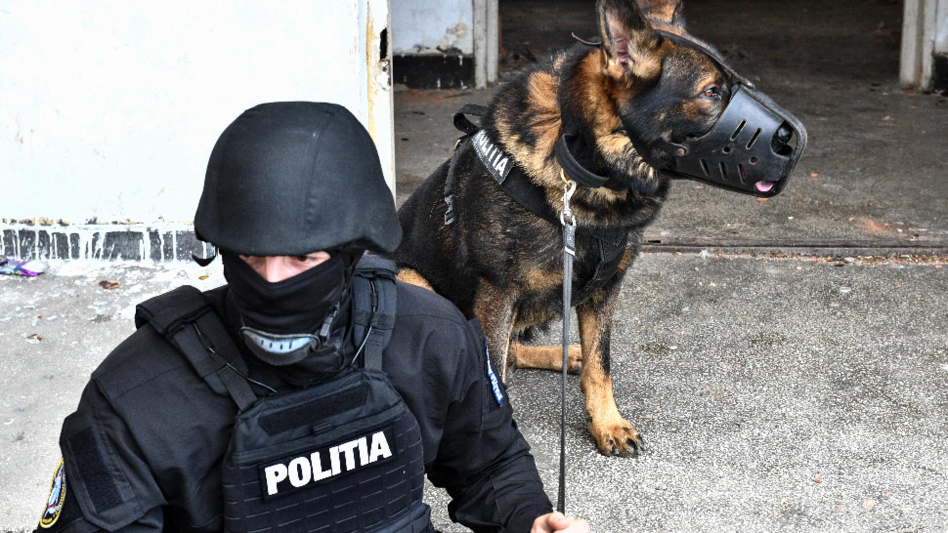 Poliția Română, mobilizare de la prima oră: 140 de percheziții în mai multe dosare penale / Foto: Inquam Photos