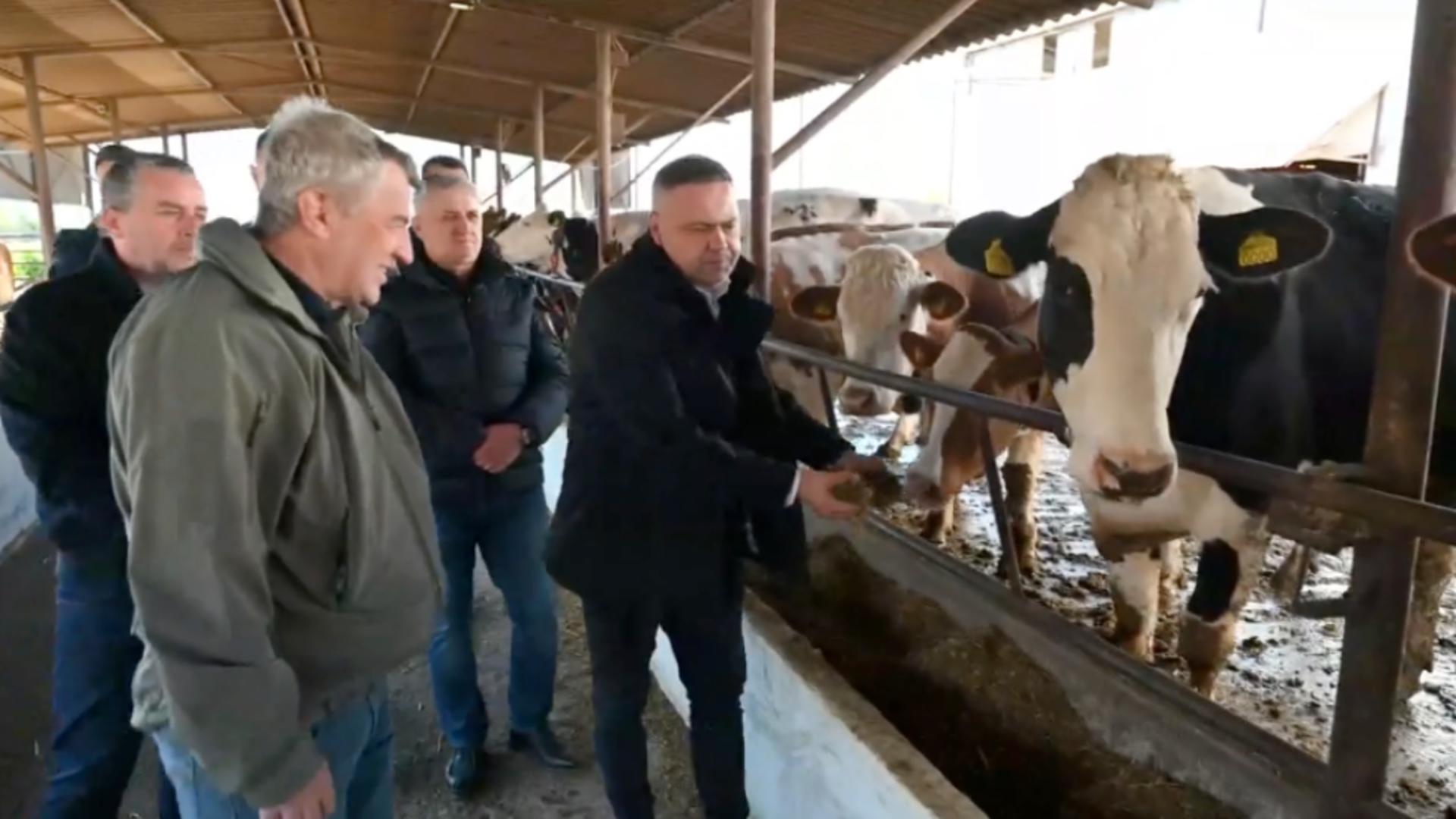 Ministrul Agriculturii, vizită la fermă pe modelul Daea – Imagini inedite