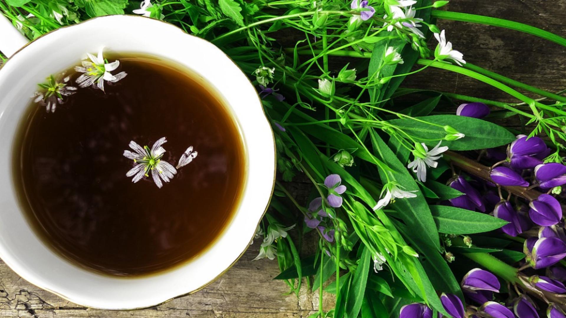 Cele mai eficiente ceaiuri pentru subțierea sângelui