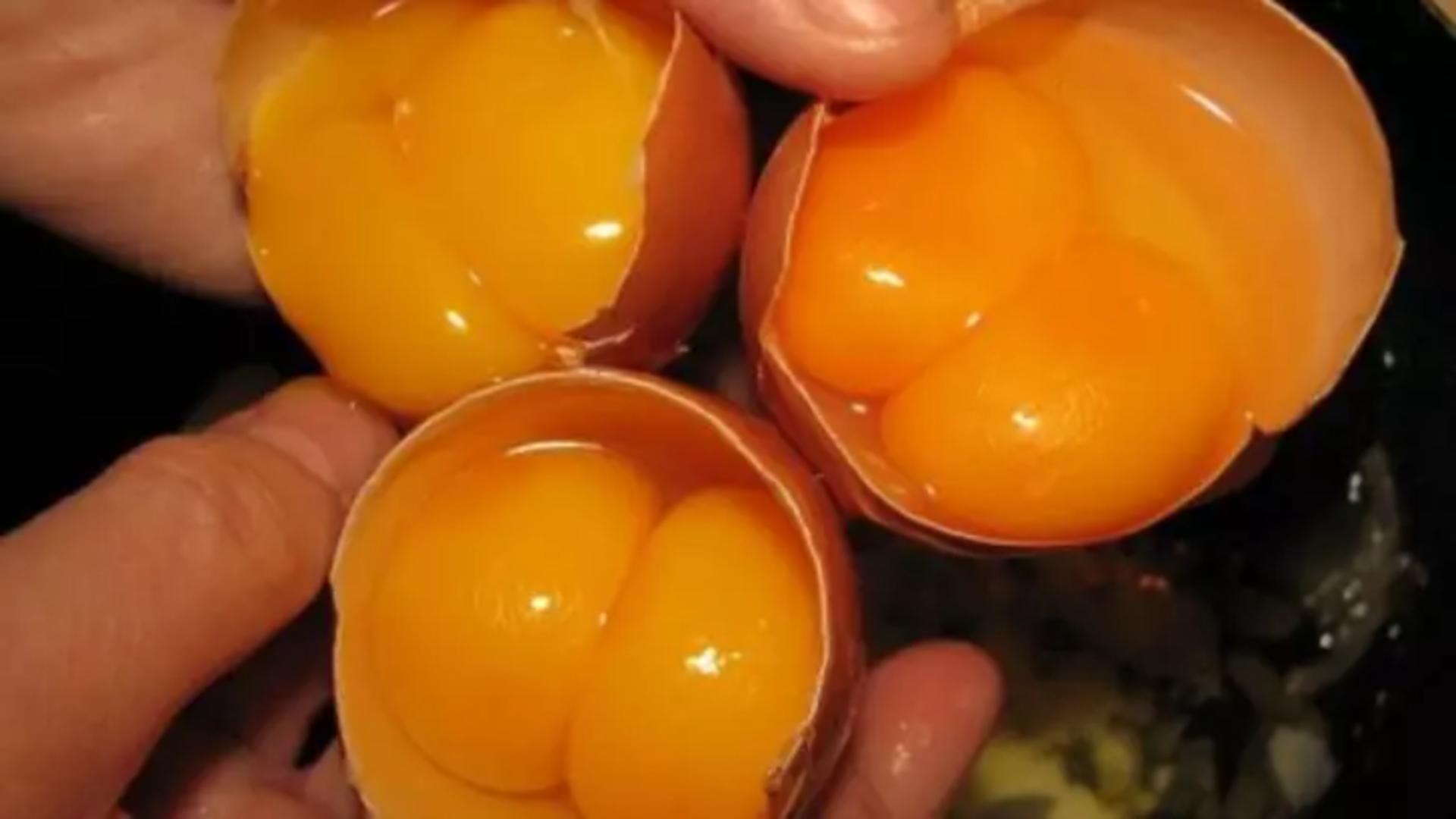 Ce înseamnă când găsești două gălbenușuri într-un ou. Este periculos, sau putem să le mâncăm fără grijă?
