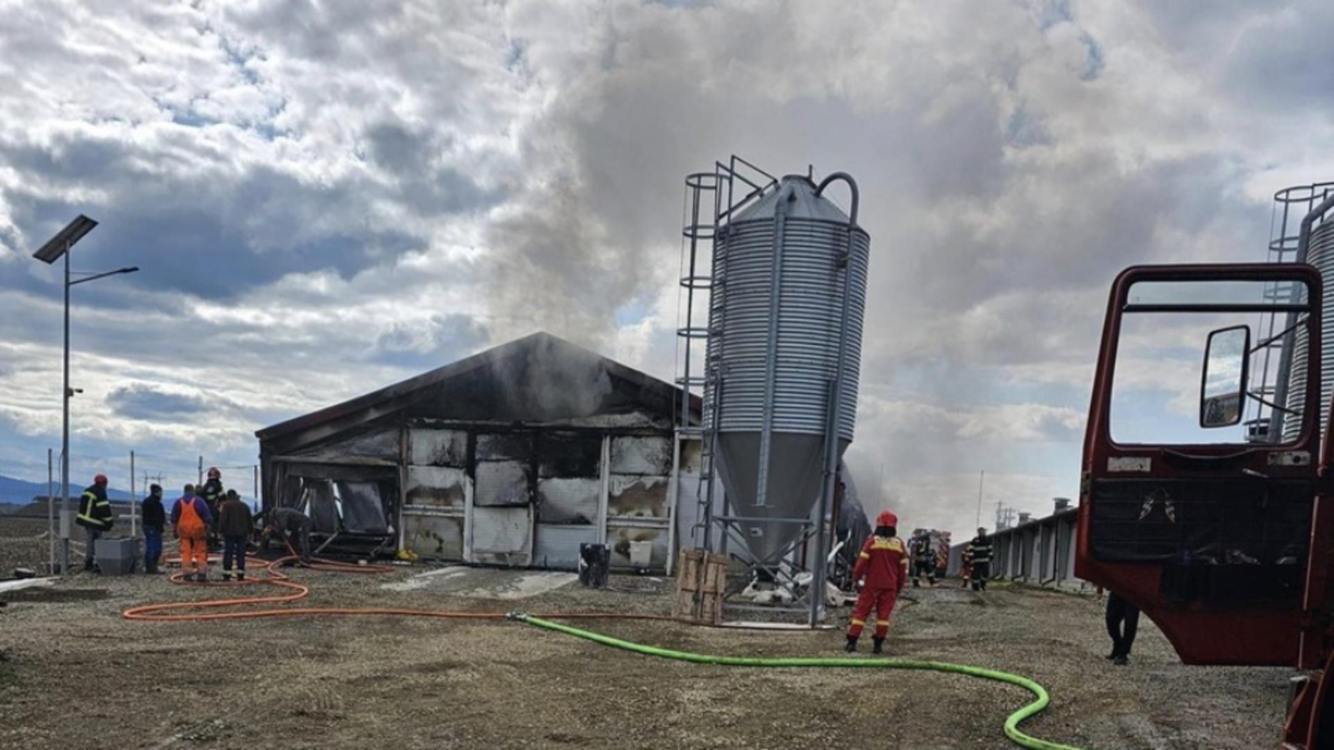 Incendiu violent și devastator la o fermă din Brașov. A luat foc o hală în care erau depozitate paie