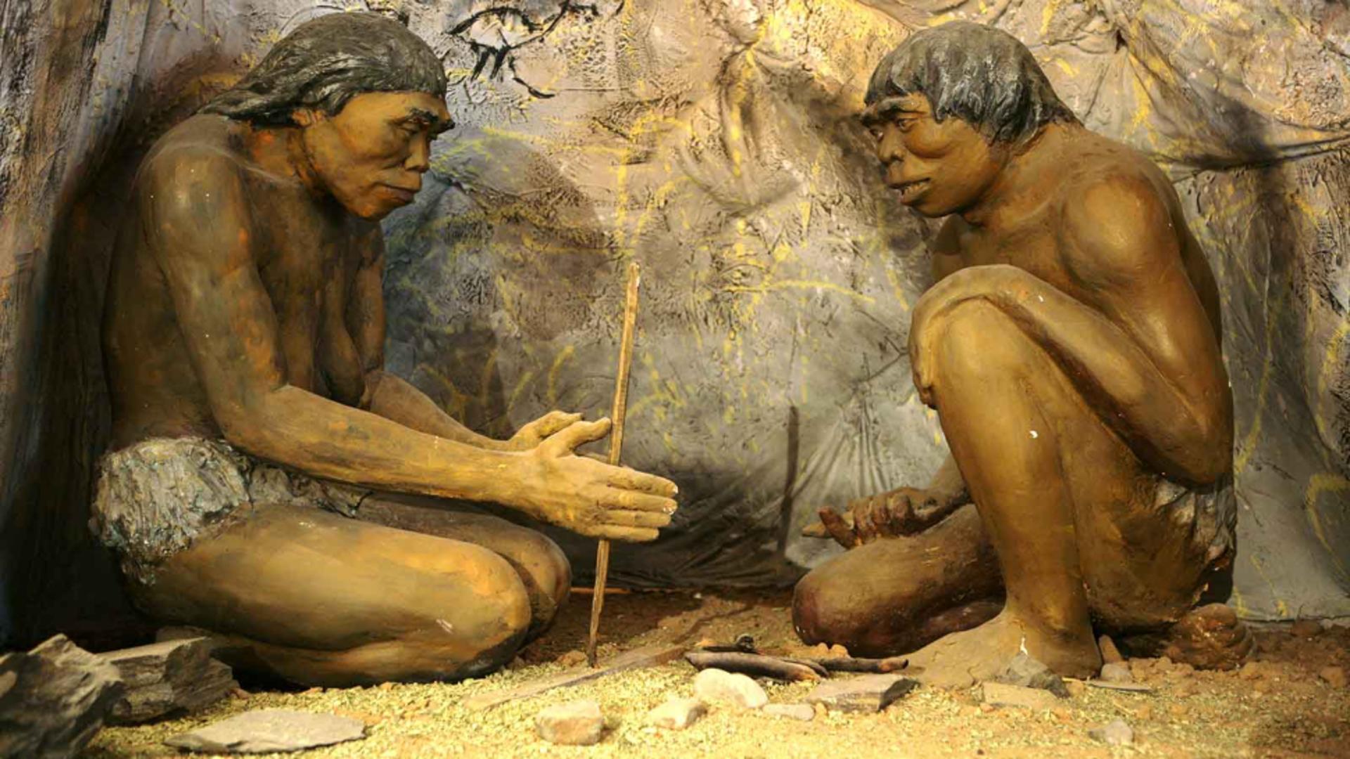 În ce consta, de fapt, Dieta Paleo, acum 5.000 de ani: Alimentele care s-au găsit în stomacul lui Ötzi, Omul Ghețurilor